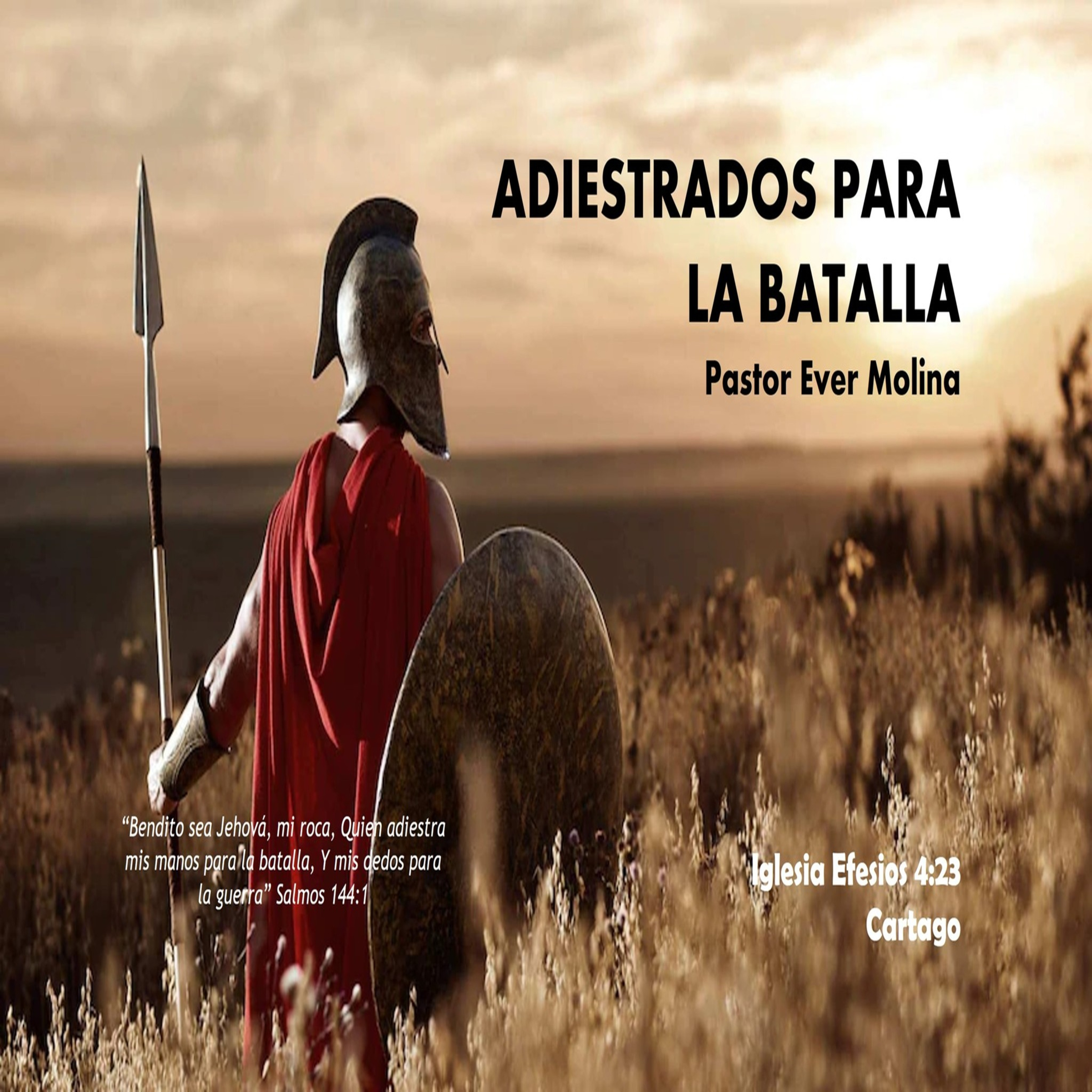 ADIESTRADOS PARA LA BATALLA episode artwork
