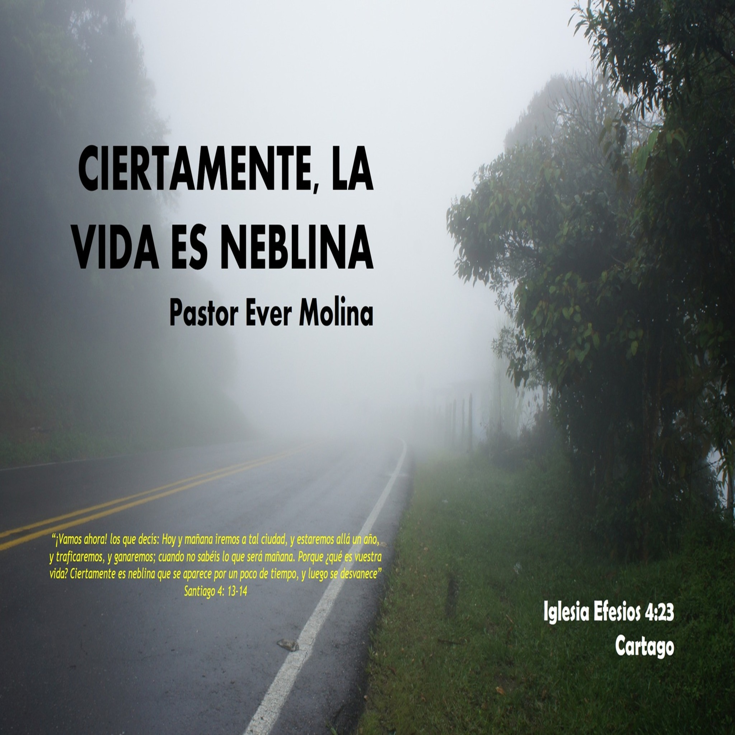 CIERTAMENTE, LA VIDA ES NEBLINA episode artwork