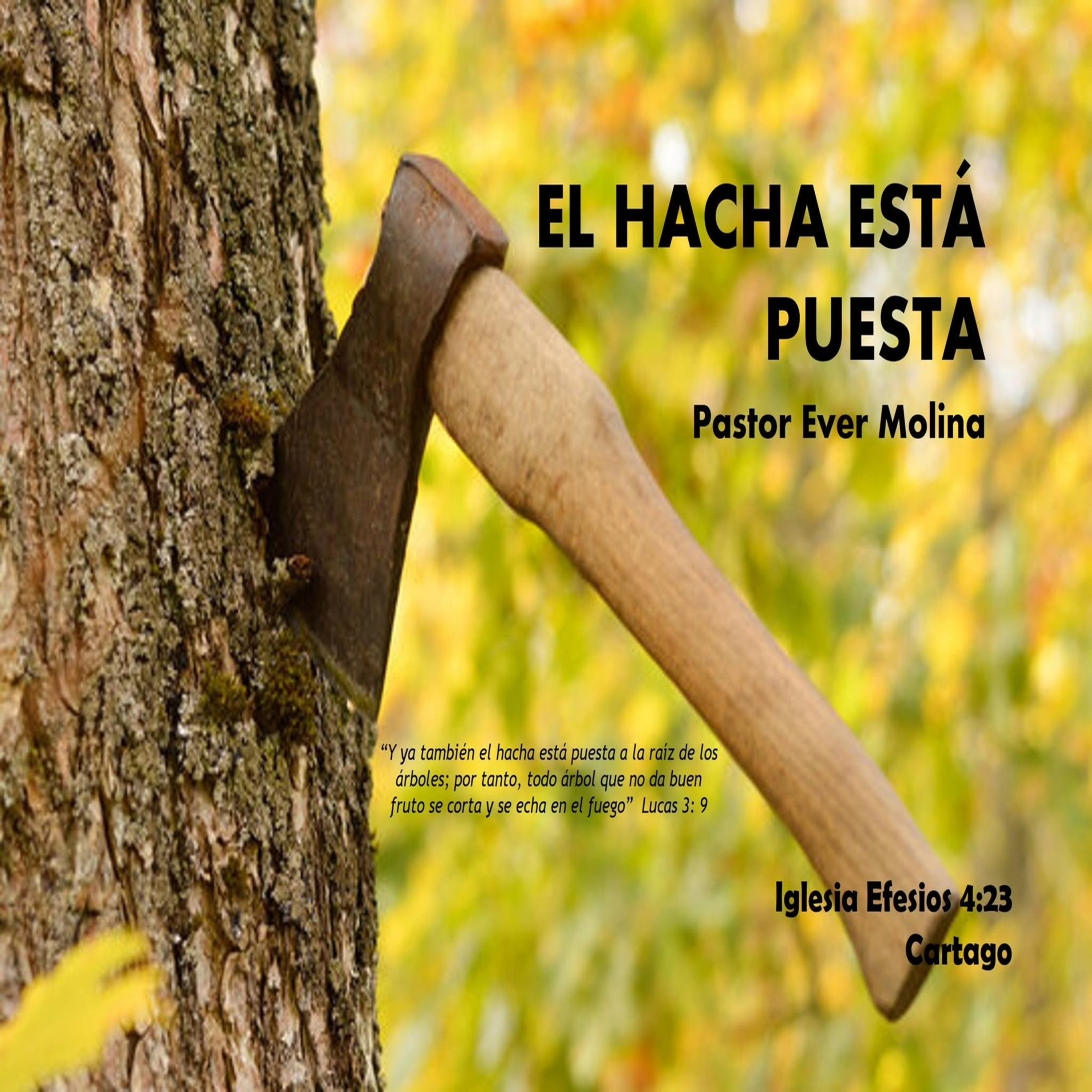 EL HACHA ESTÁ PUESTA episode artwork