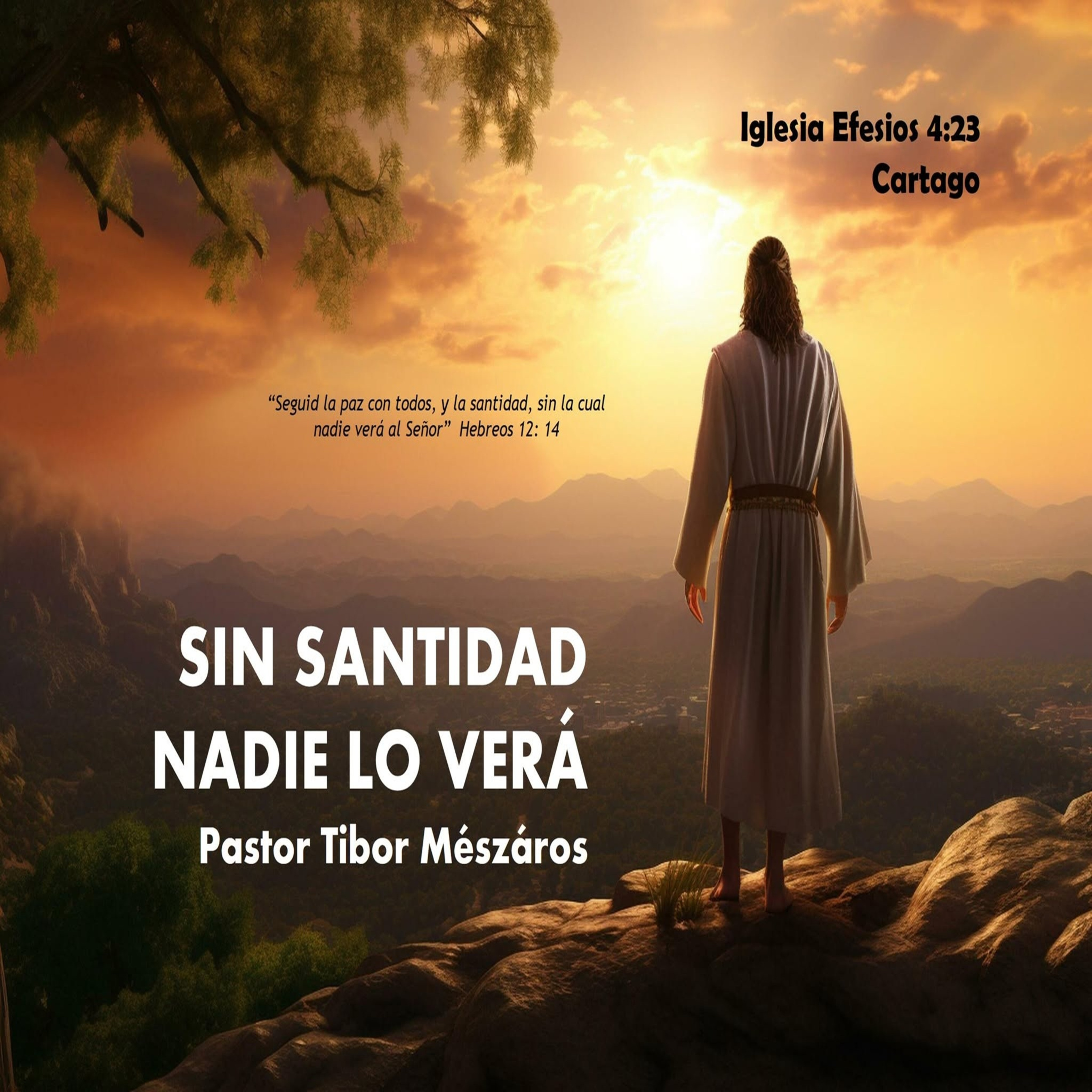 SIN SANTIDAD NADIE LO VERÁ episode artwork