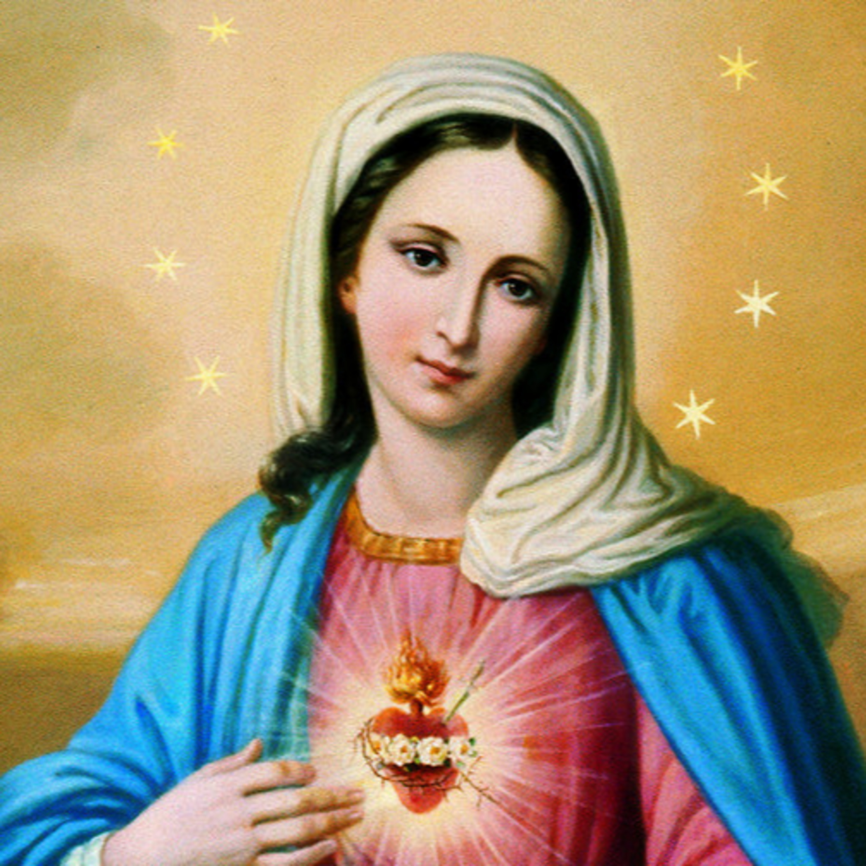 Cuore immacolato della B.V. Maria