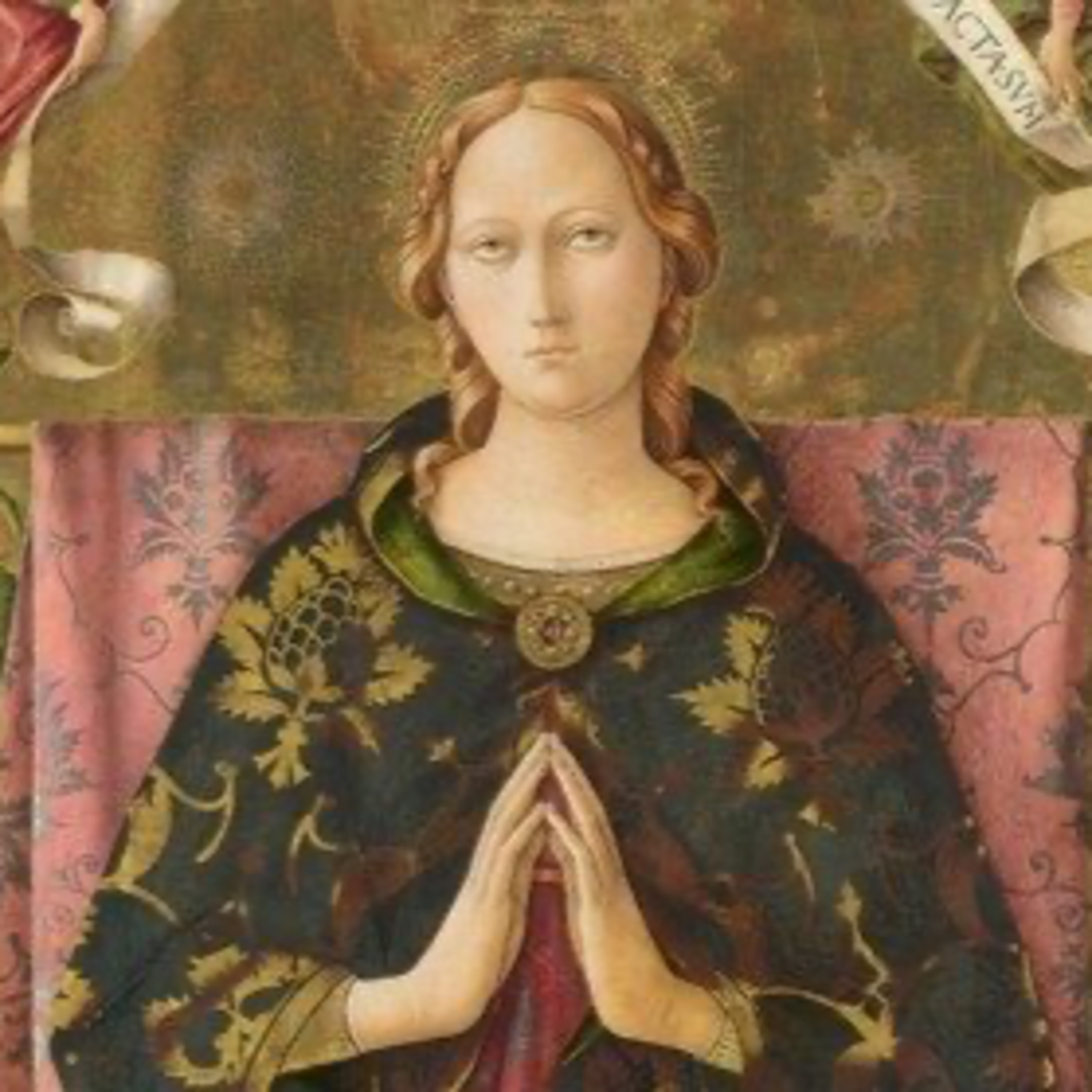 Immacolata concezione