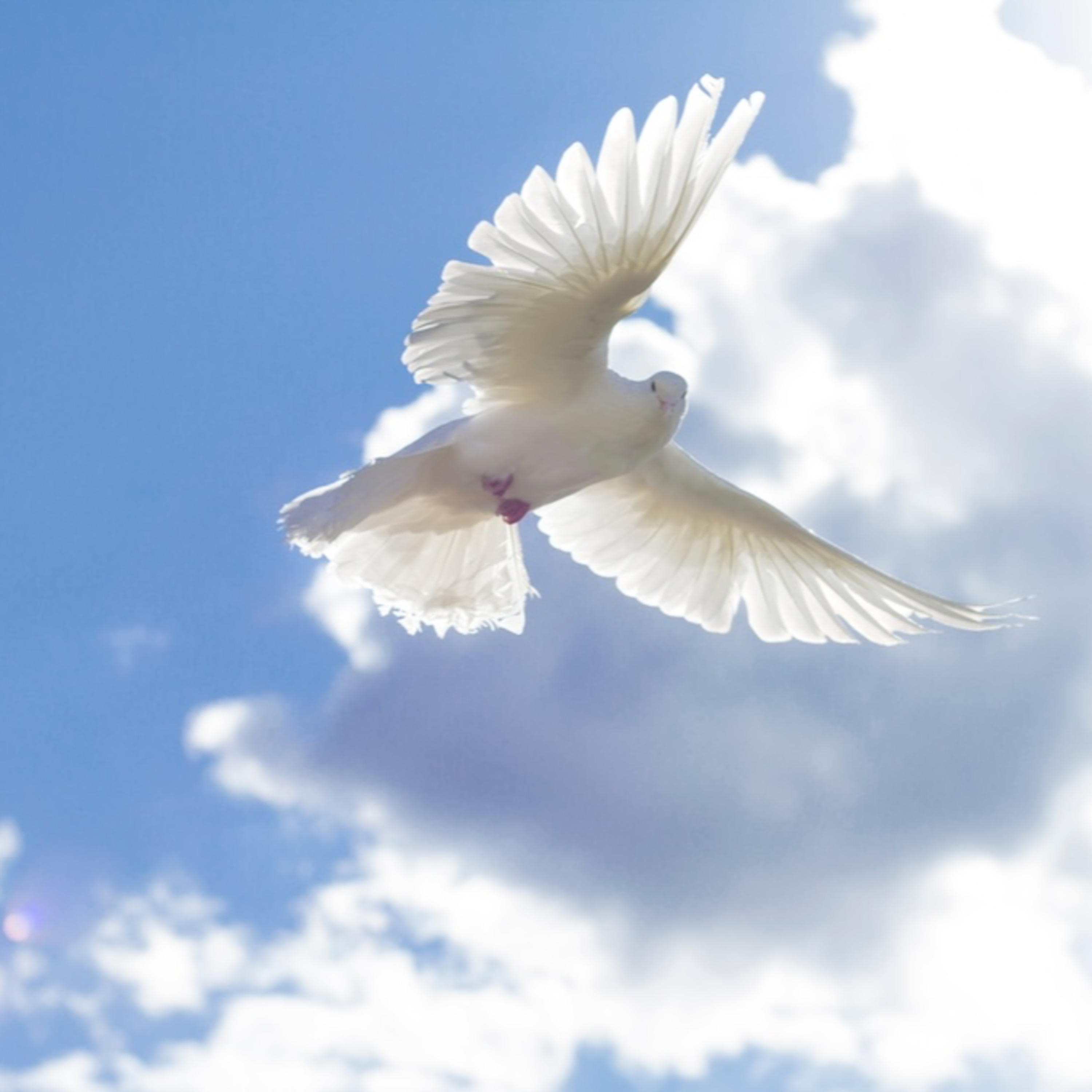 Domenica di Pentecoste