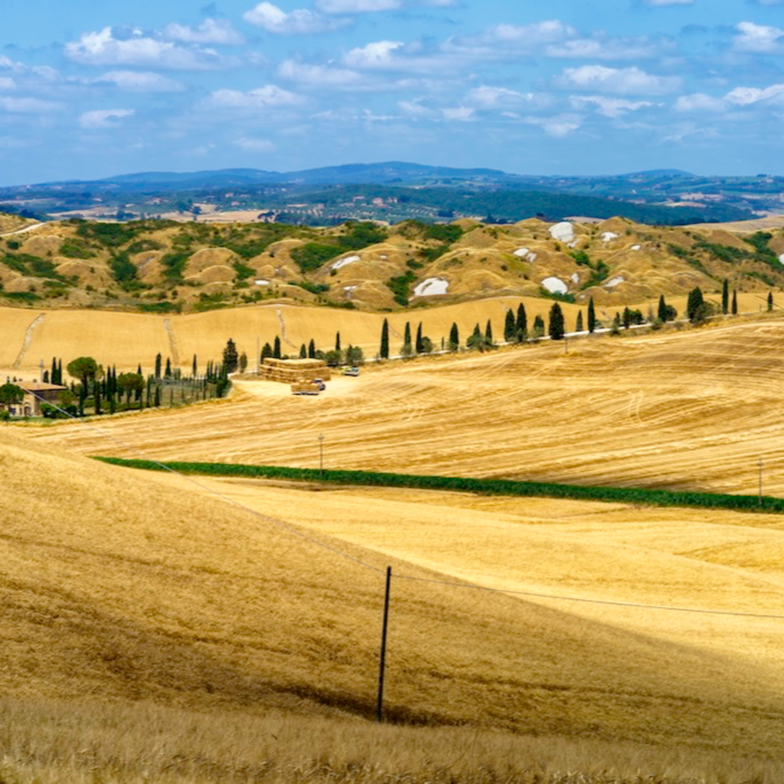 XX domenica del tempo ordinario