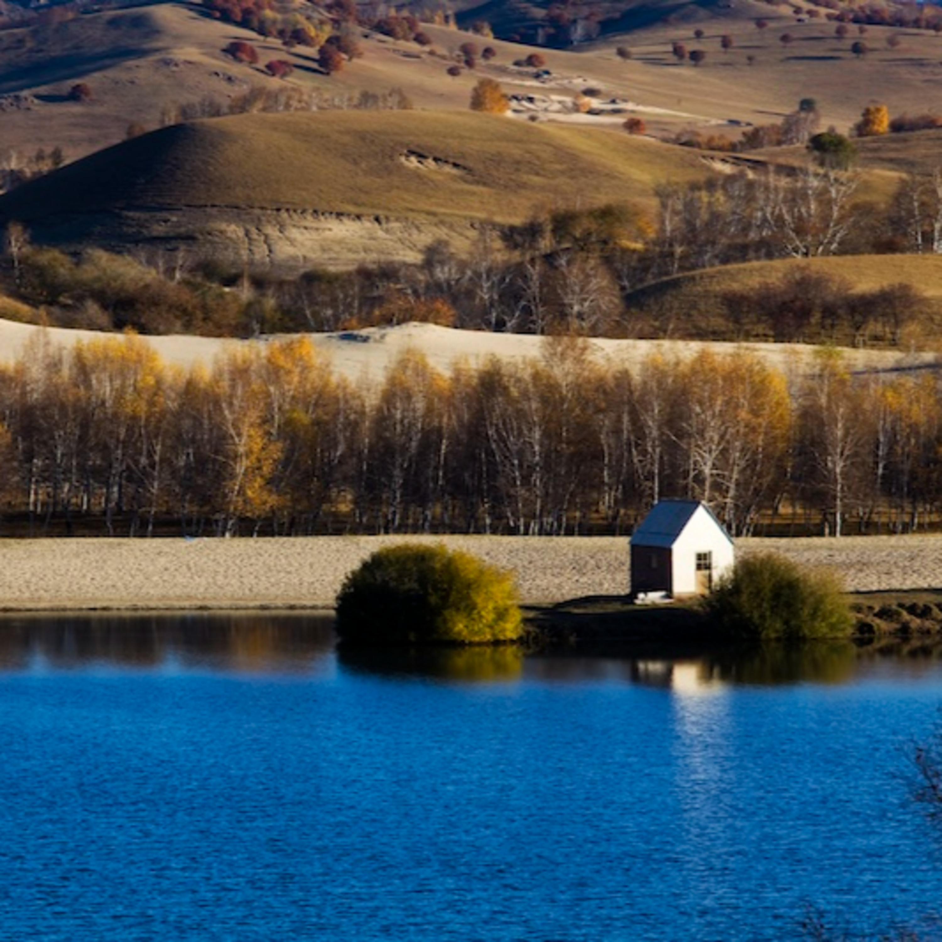 Venerdì della XXXIV° settimana TO Venerdì della XXXIV° settimana TO