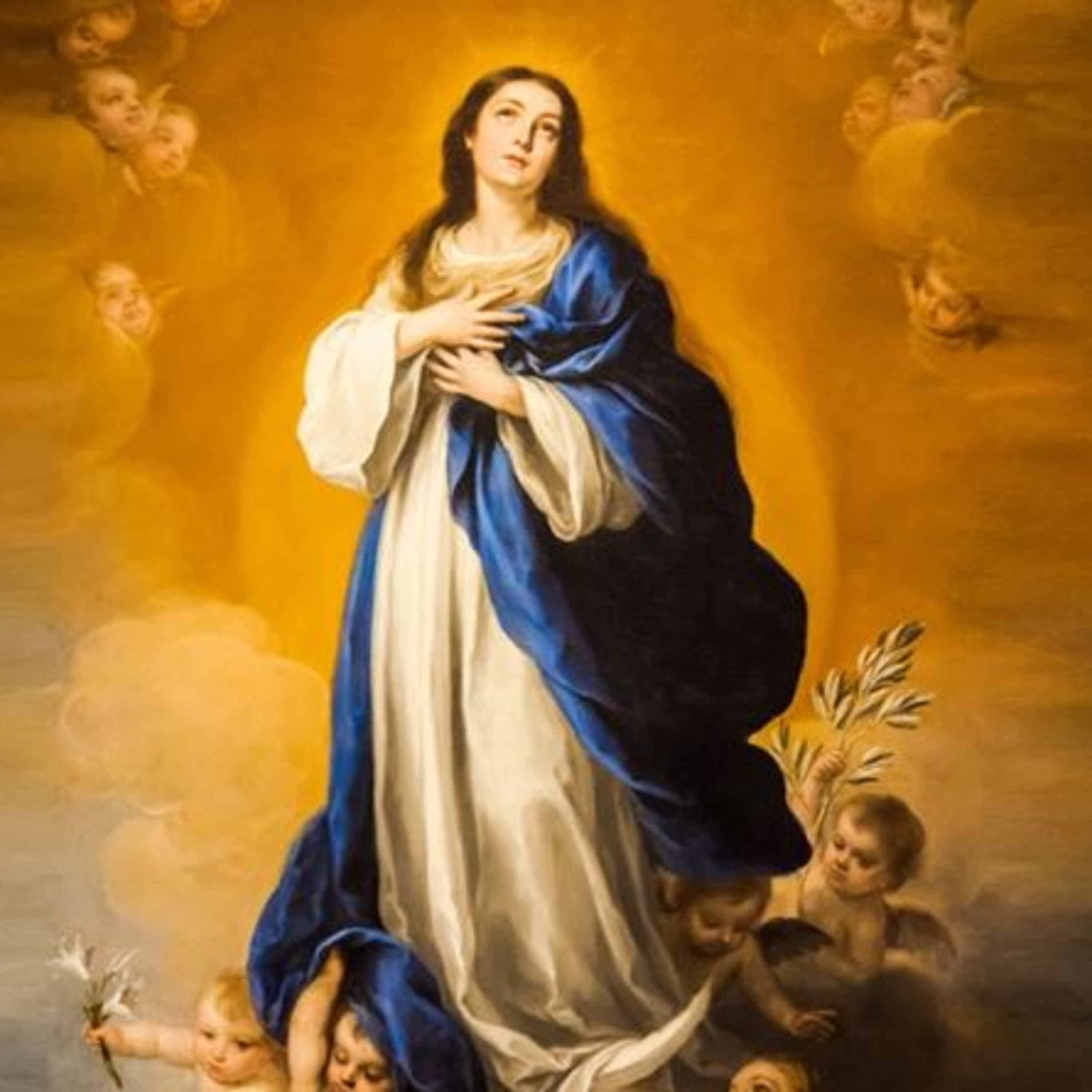 Immacolata concezione della B.V. Maria