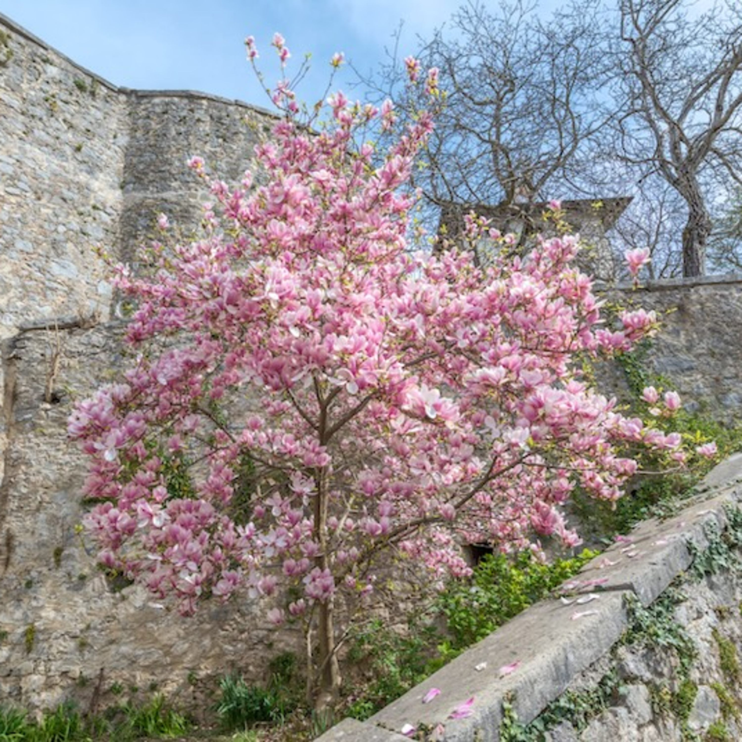 Giovedì