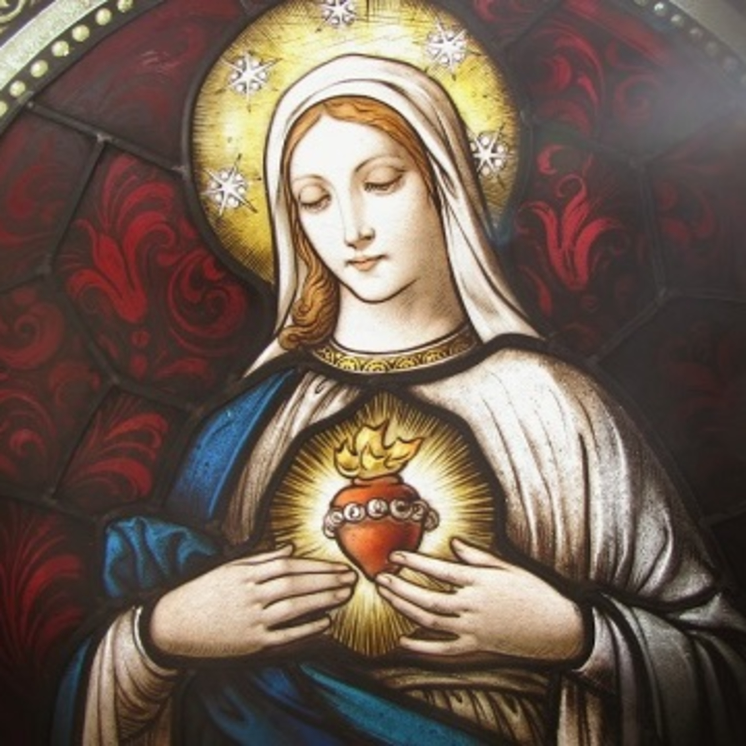 Cuore Immacolato della B.V. Maria episode artwork