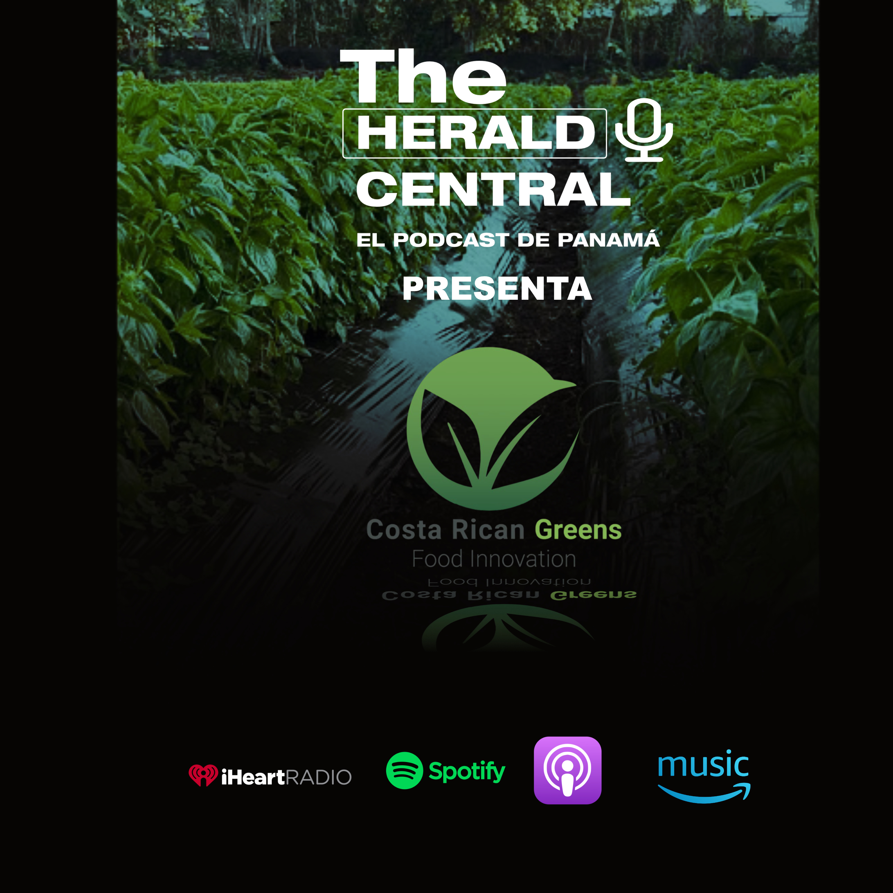 Portada de The Herald Central Panamá