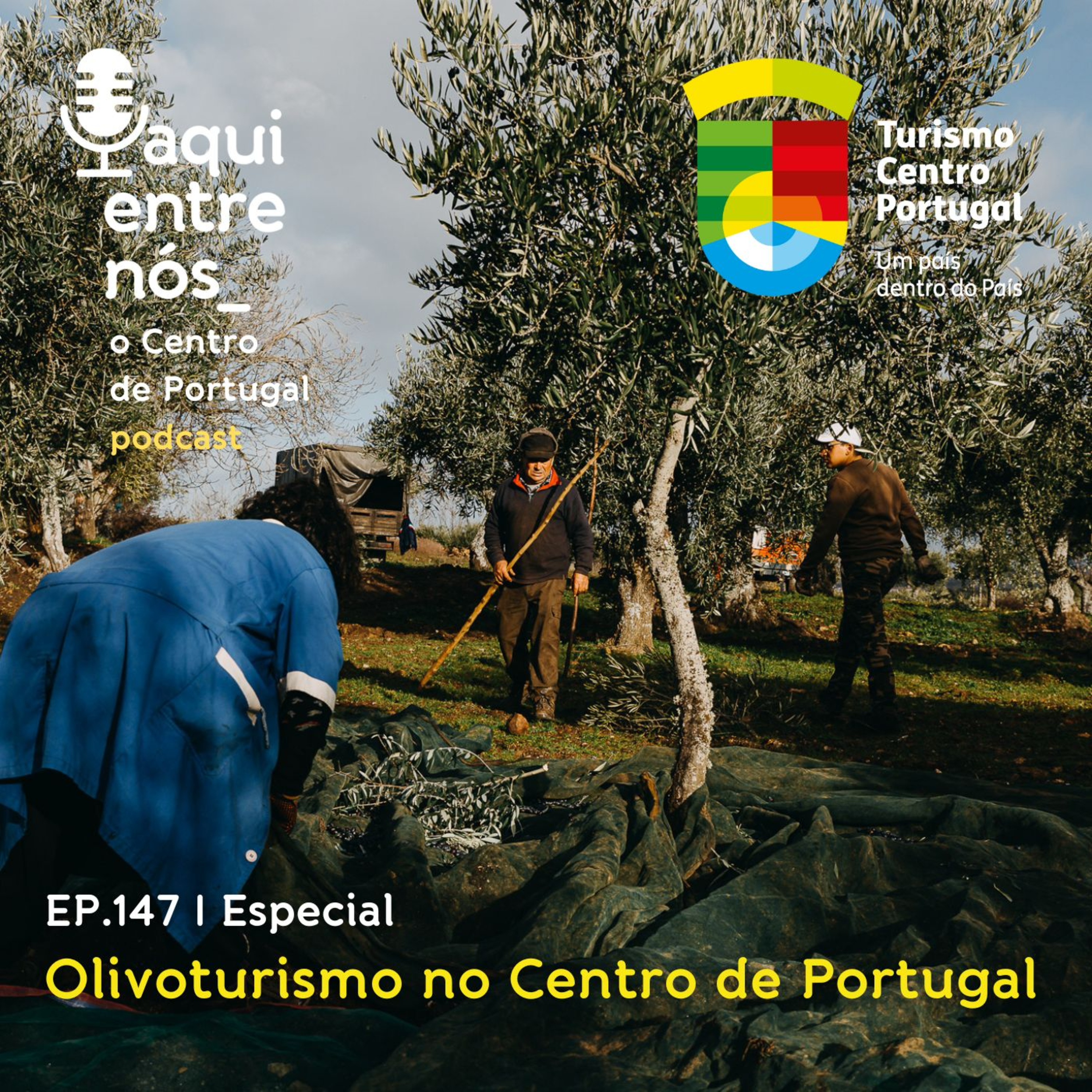 #147 - A oliveira e o azeite no Centro de Portugal episode artwork