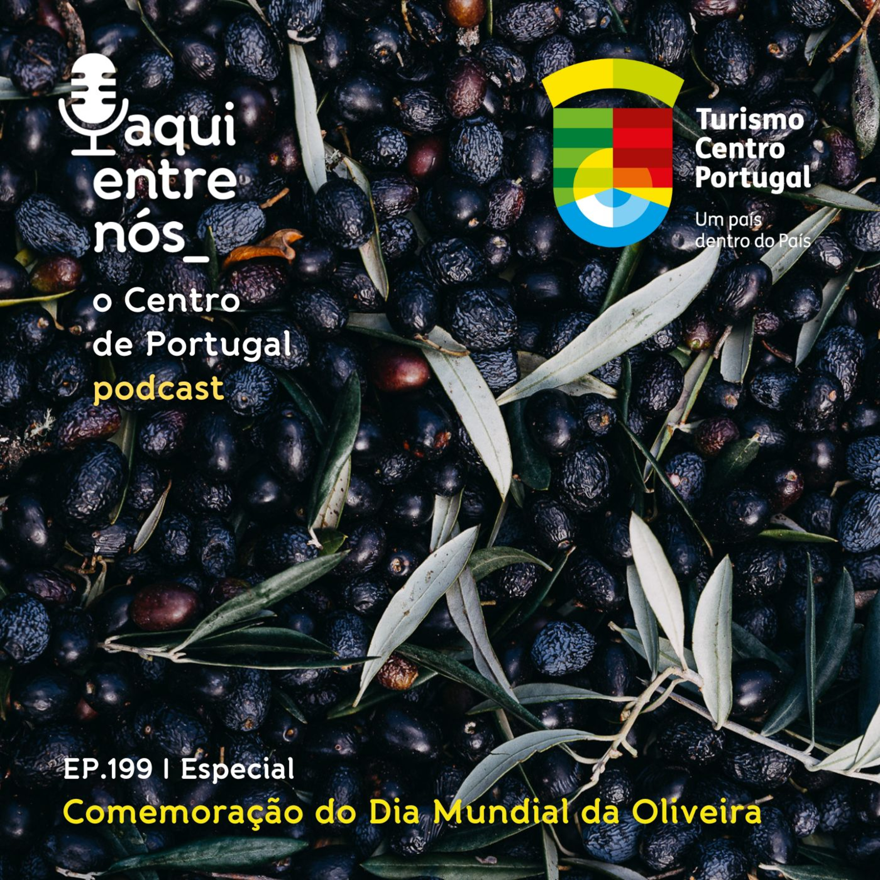 #199 - Dia Mundial da Oliveira