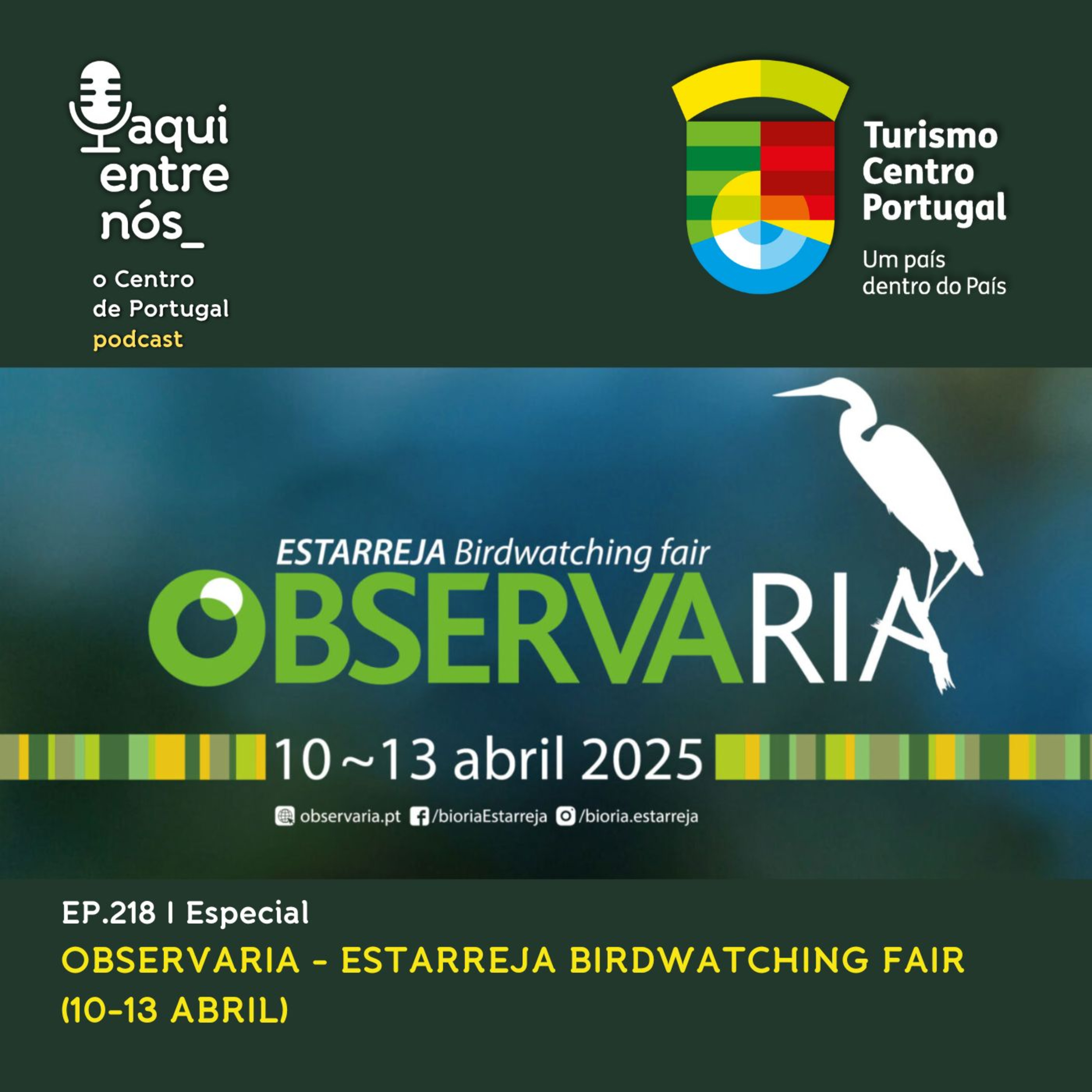#218 - ObservaRia em Estarreja