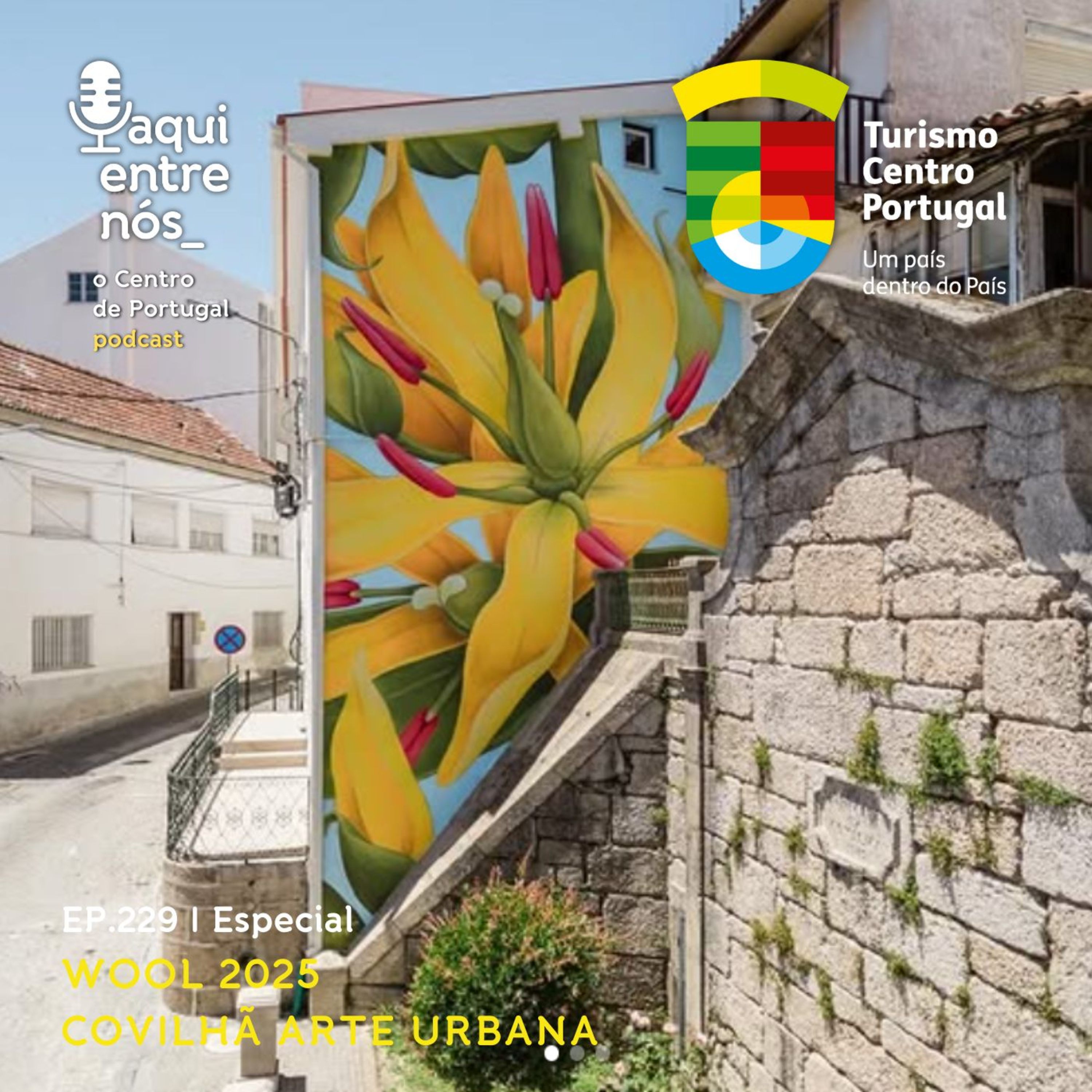 #229 - WOOL, Covilhã Arte Urbana