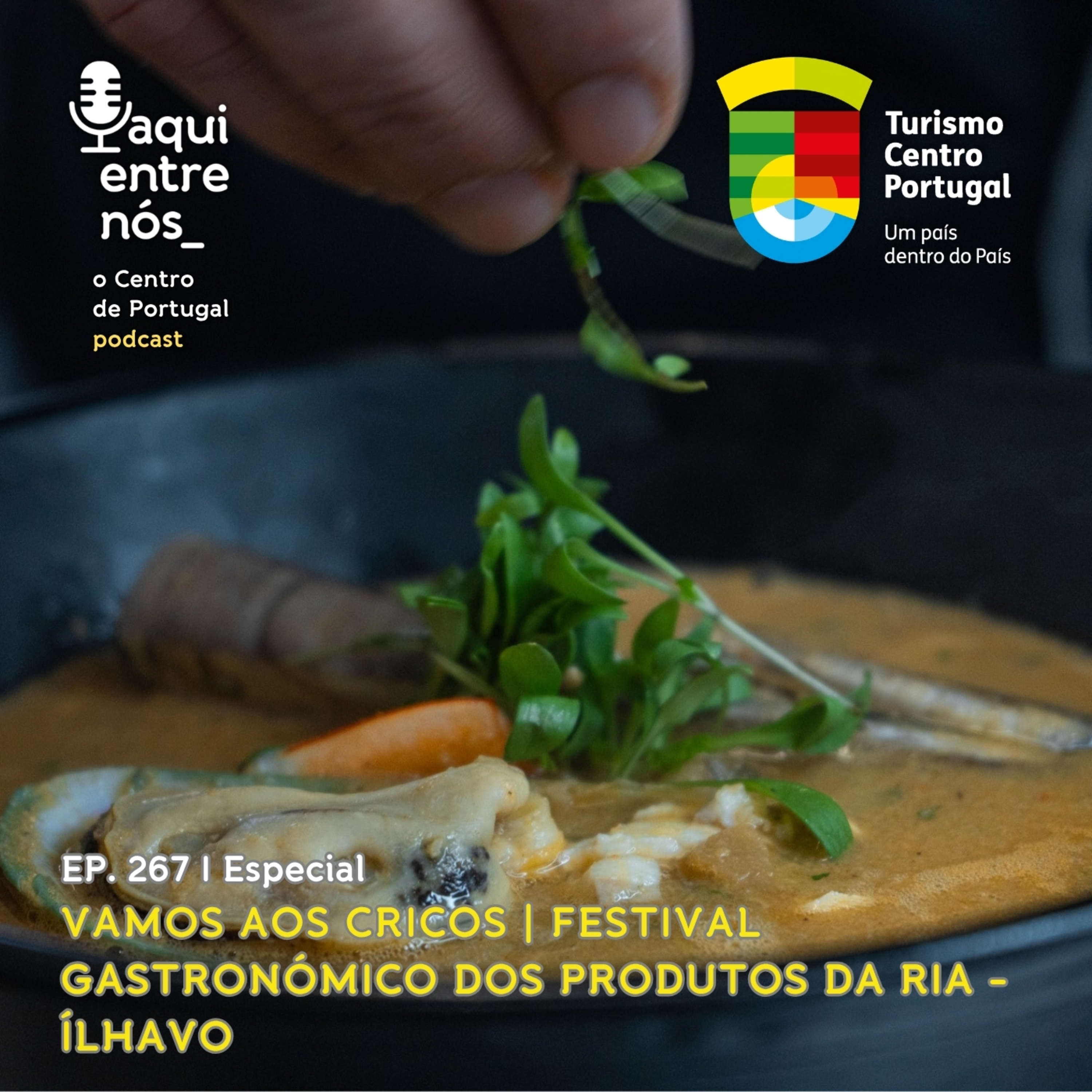 #267 - Vamos aos Cricos – Festival Gastronómico dos Produtos da Ria