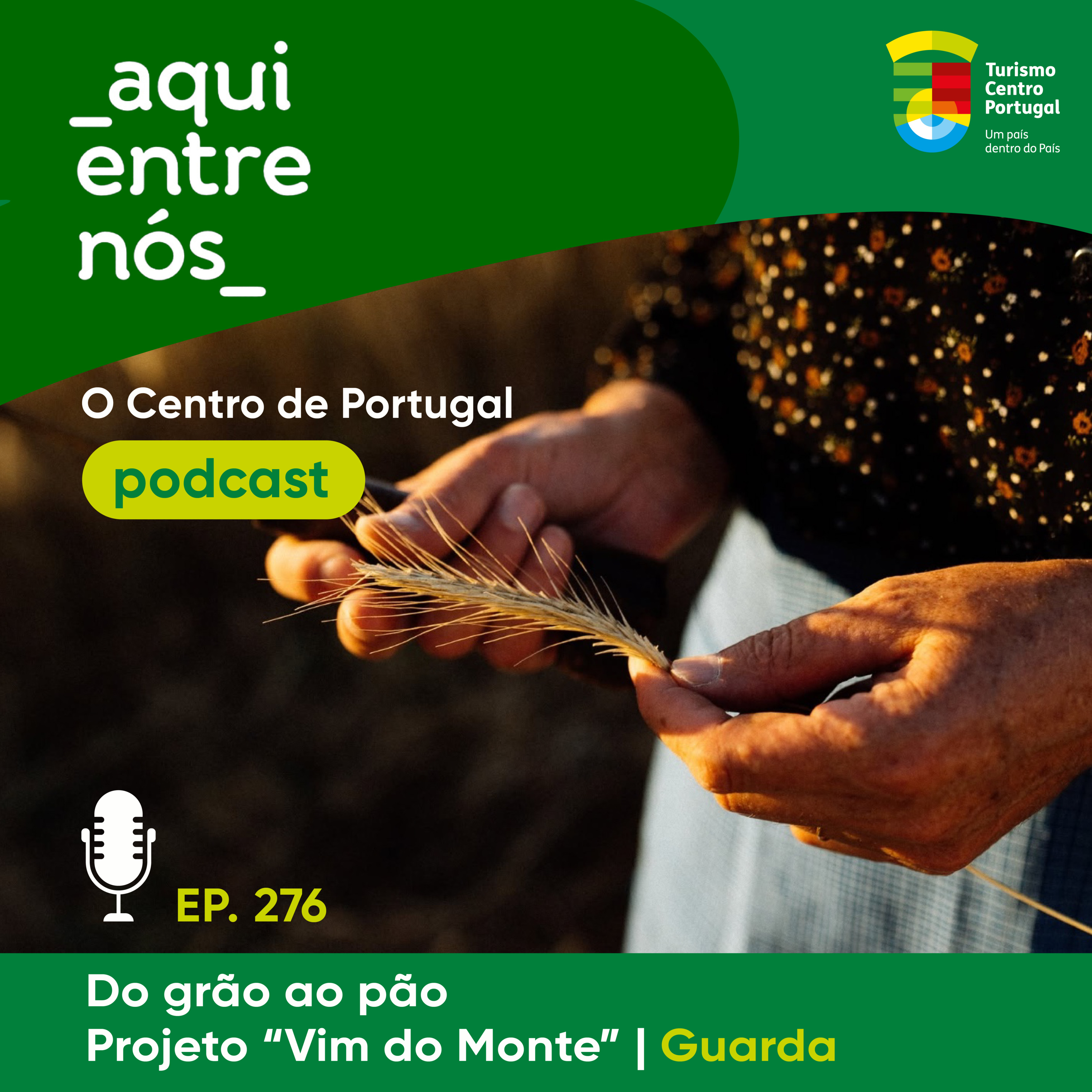 #276 - Projeto "Vim do Monte": workshops de pão de centeio episode artwork