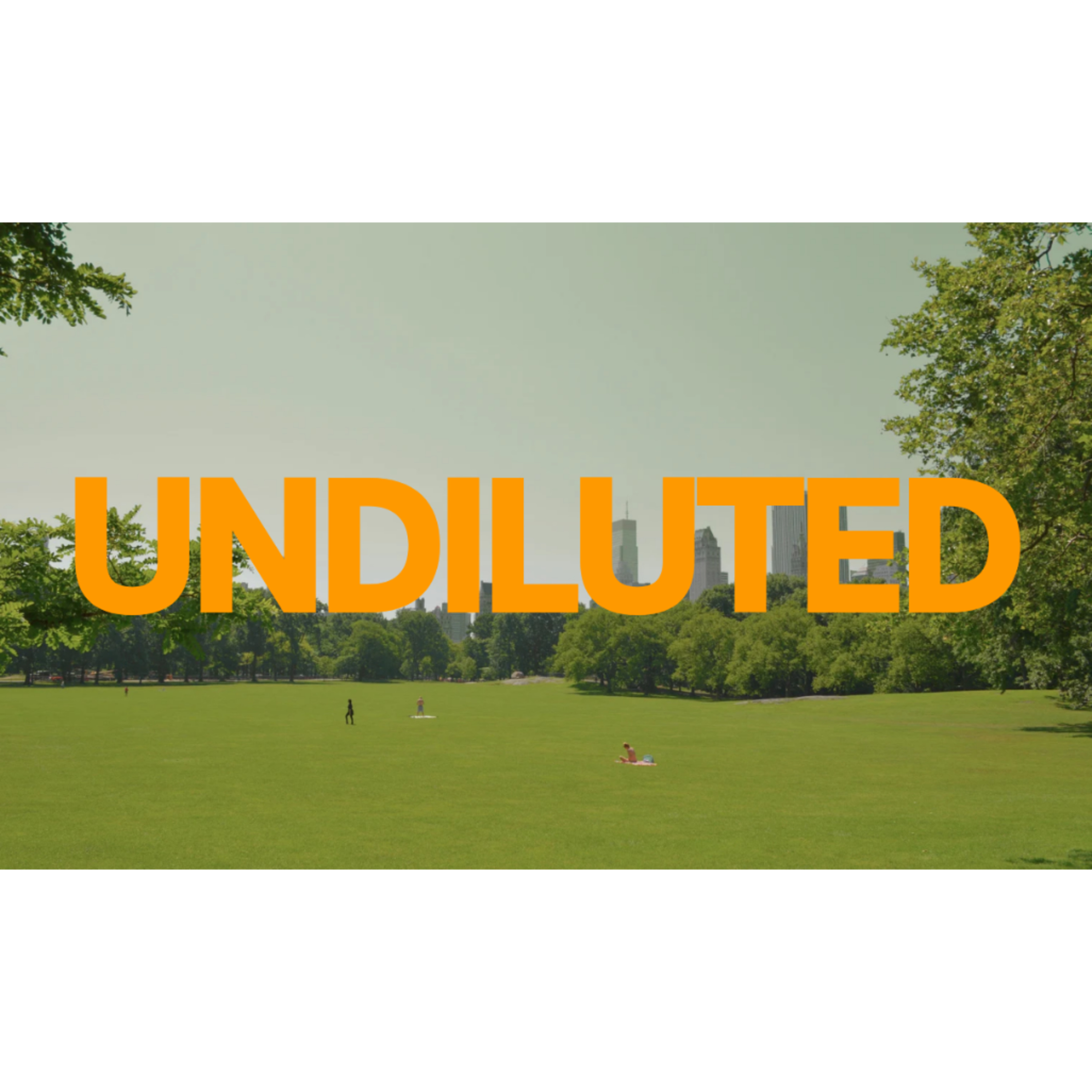 Undiluted episode artwork