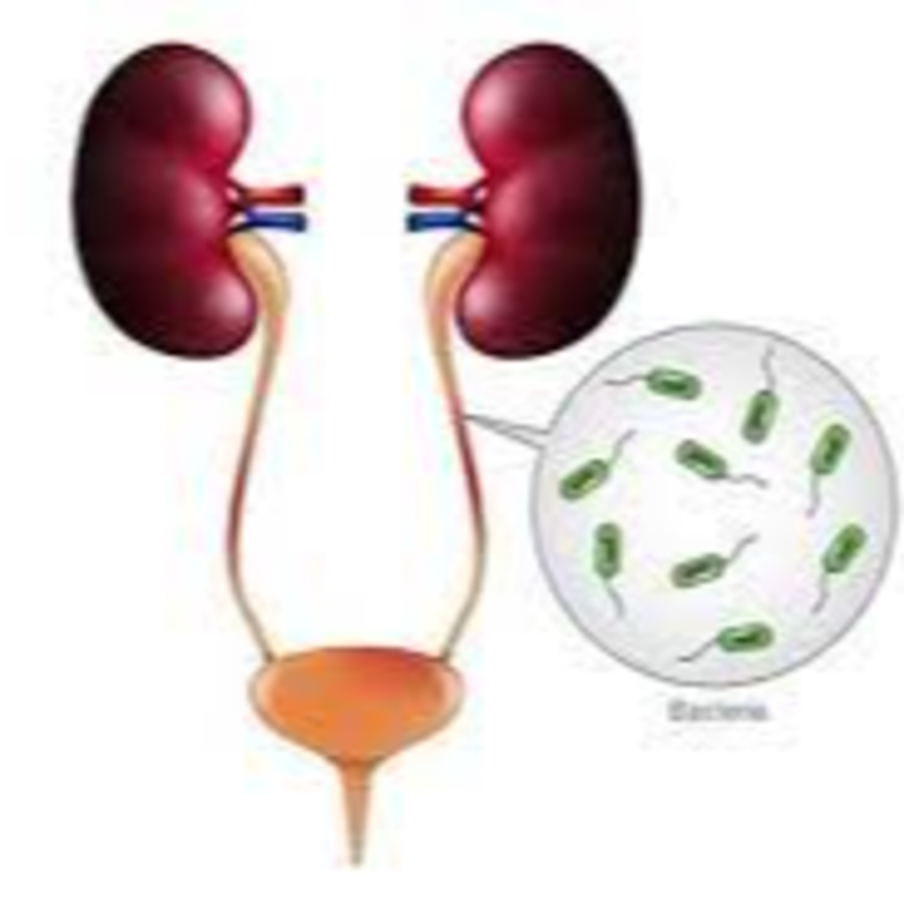 Charla entre médicos