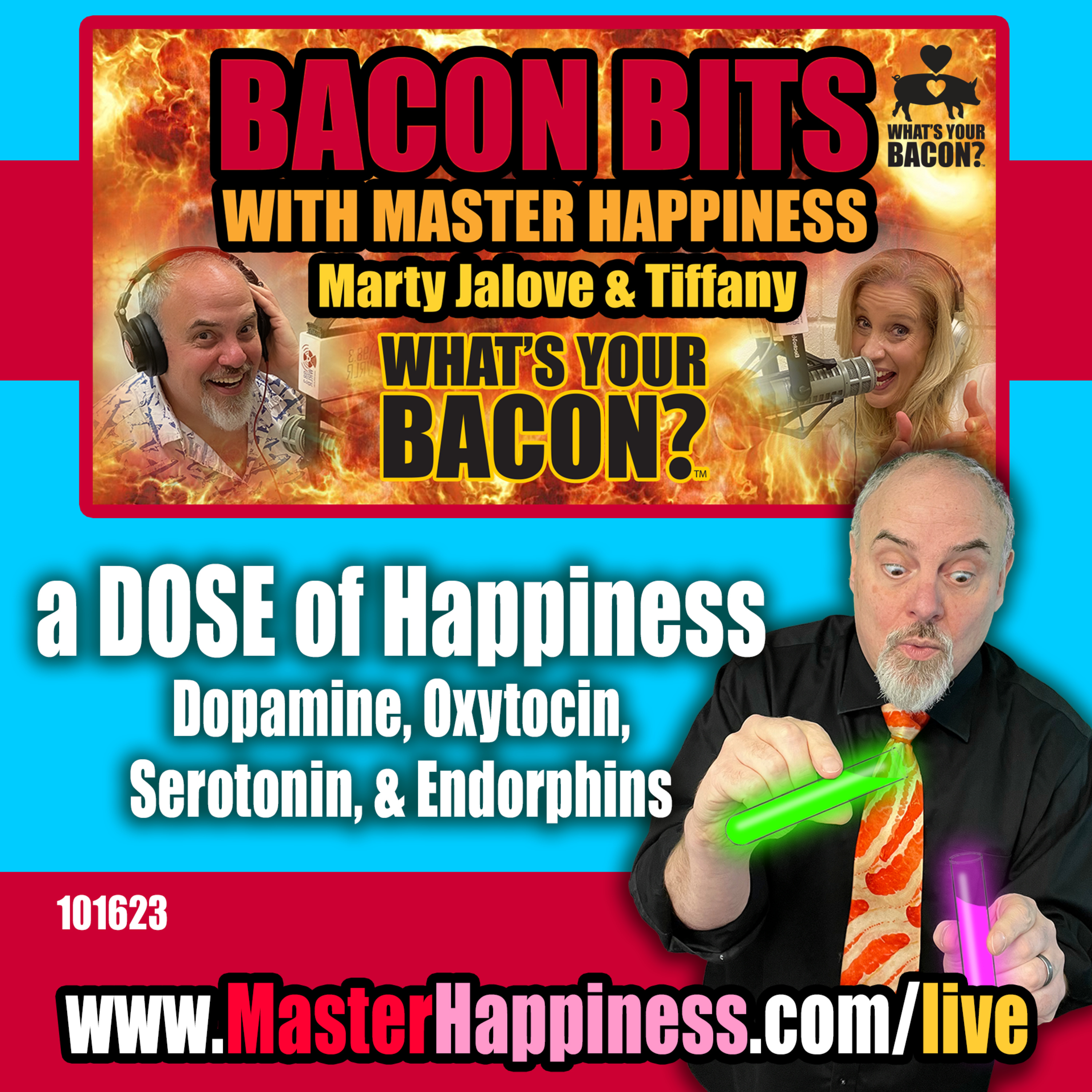 A DOSE of Happiness: The Science Behind the Happiness Hormones episode artwork