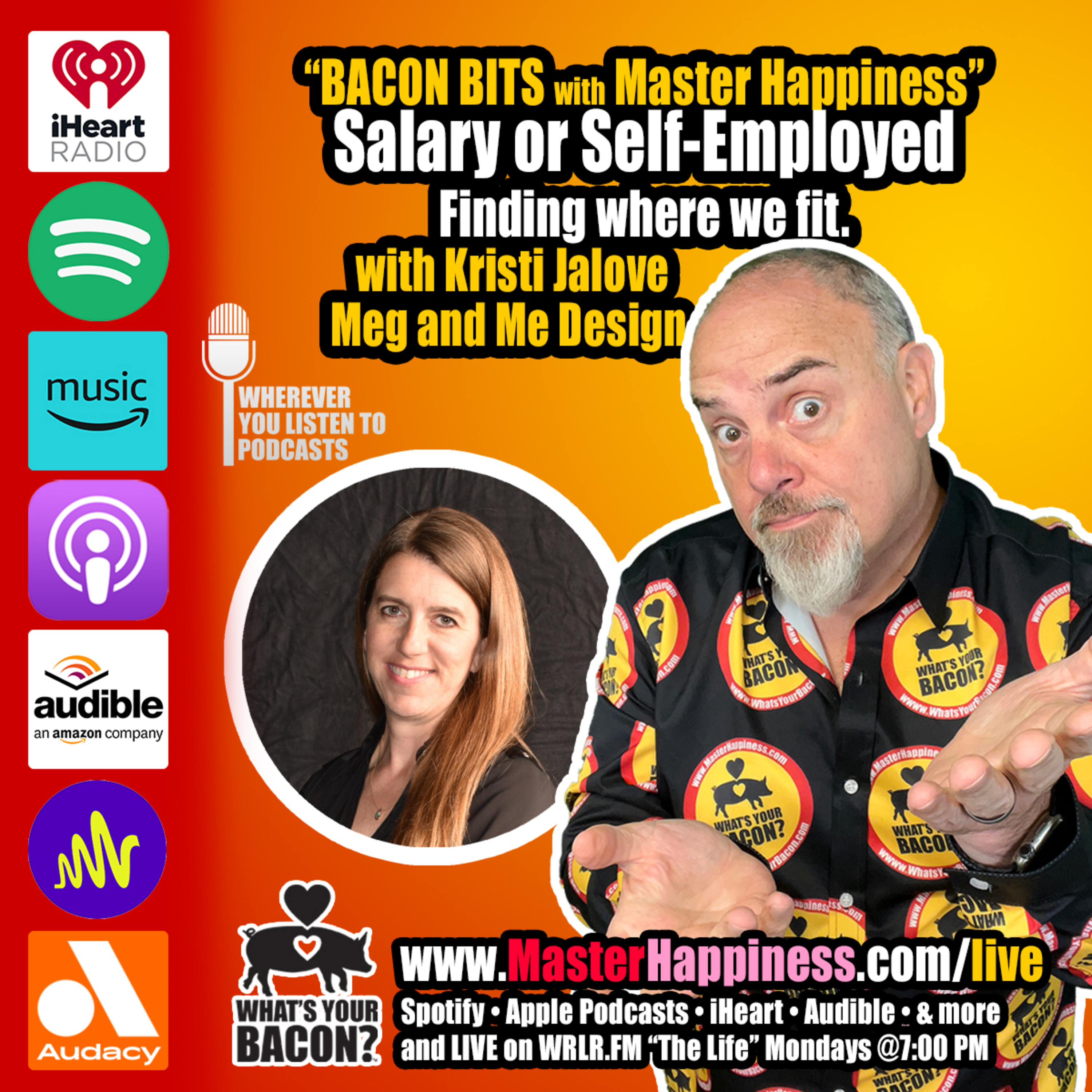 Salary Employment or Self-Employment episode artwork