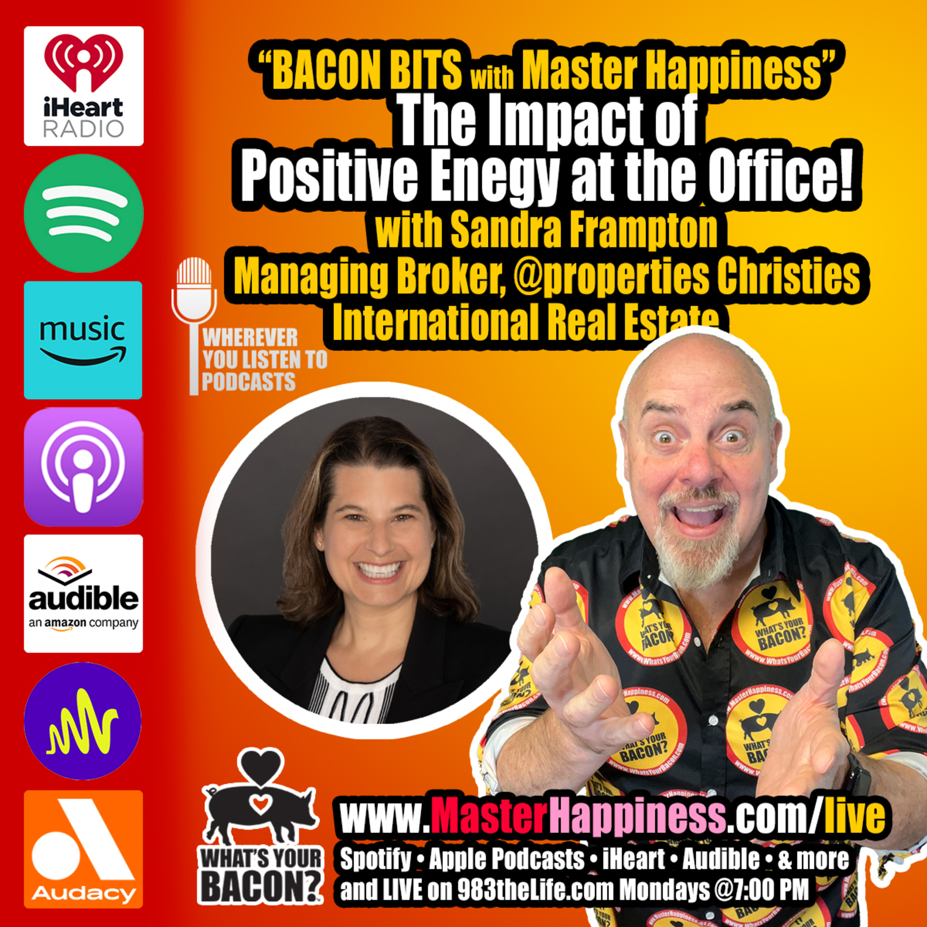 The Undeniable Power of Positive Energy at Work episode artwork