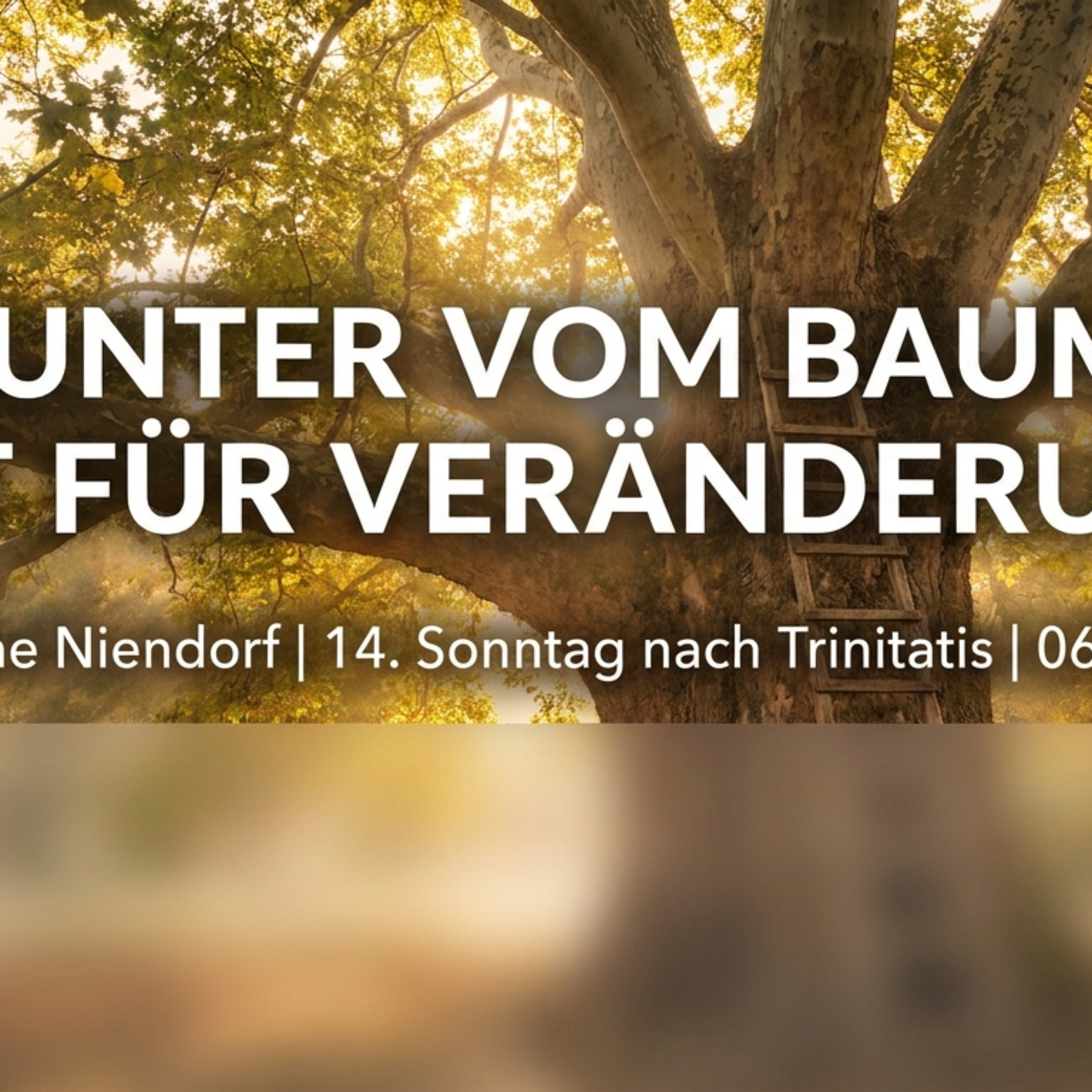 Begegnung auf Augenhöhe – Predigt zum 14. Sonntag nach Trinitatis episode artwork