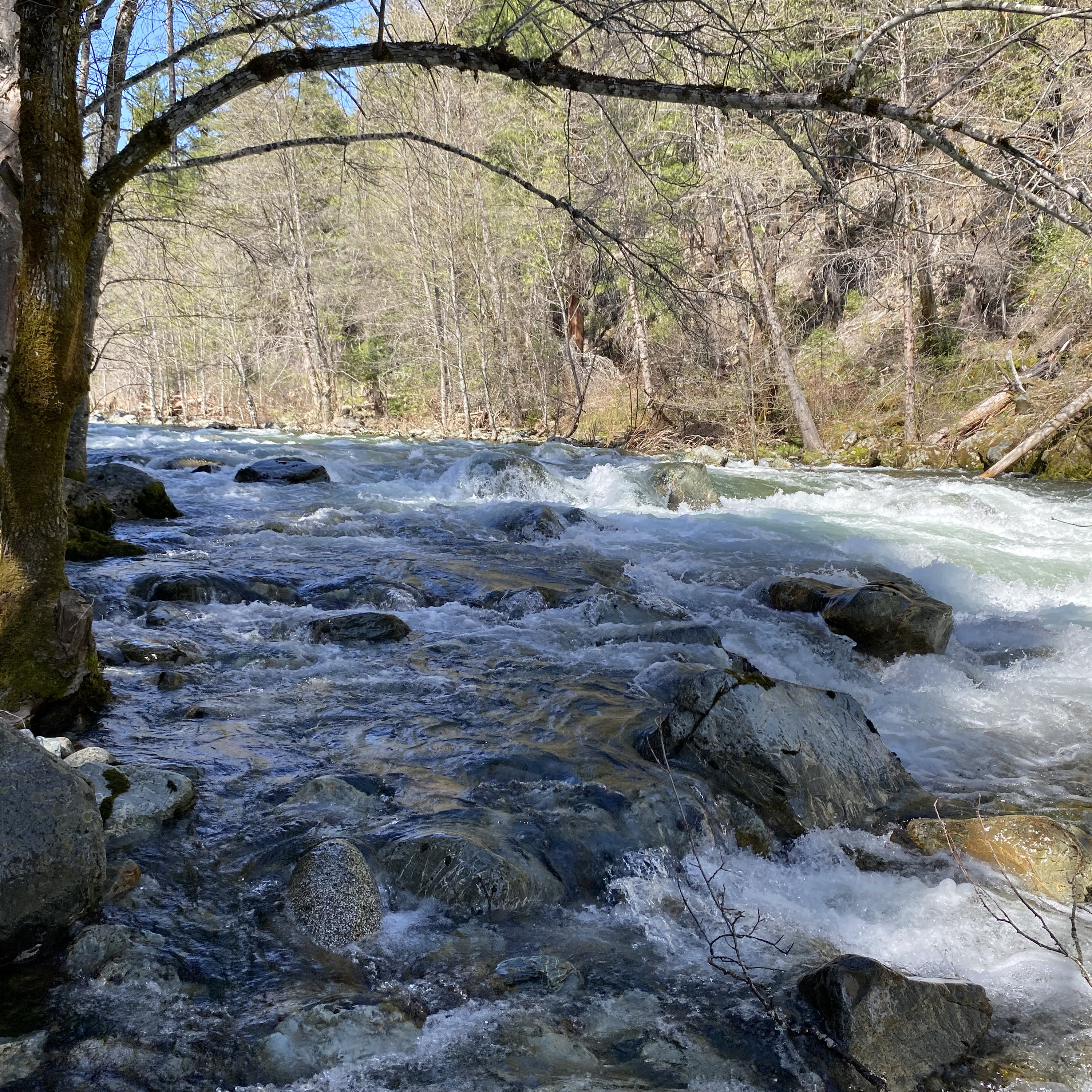 174: All Night Beside the North Fork of the Salmon River