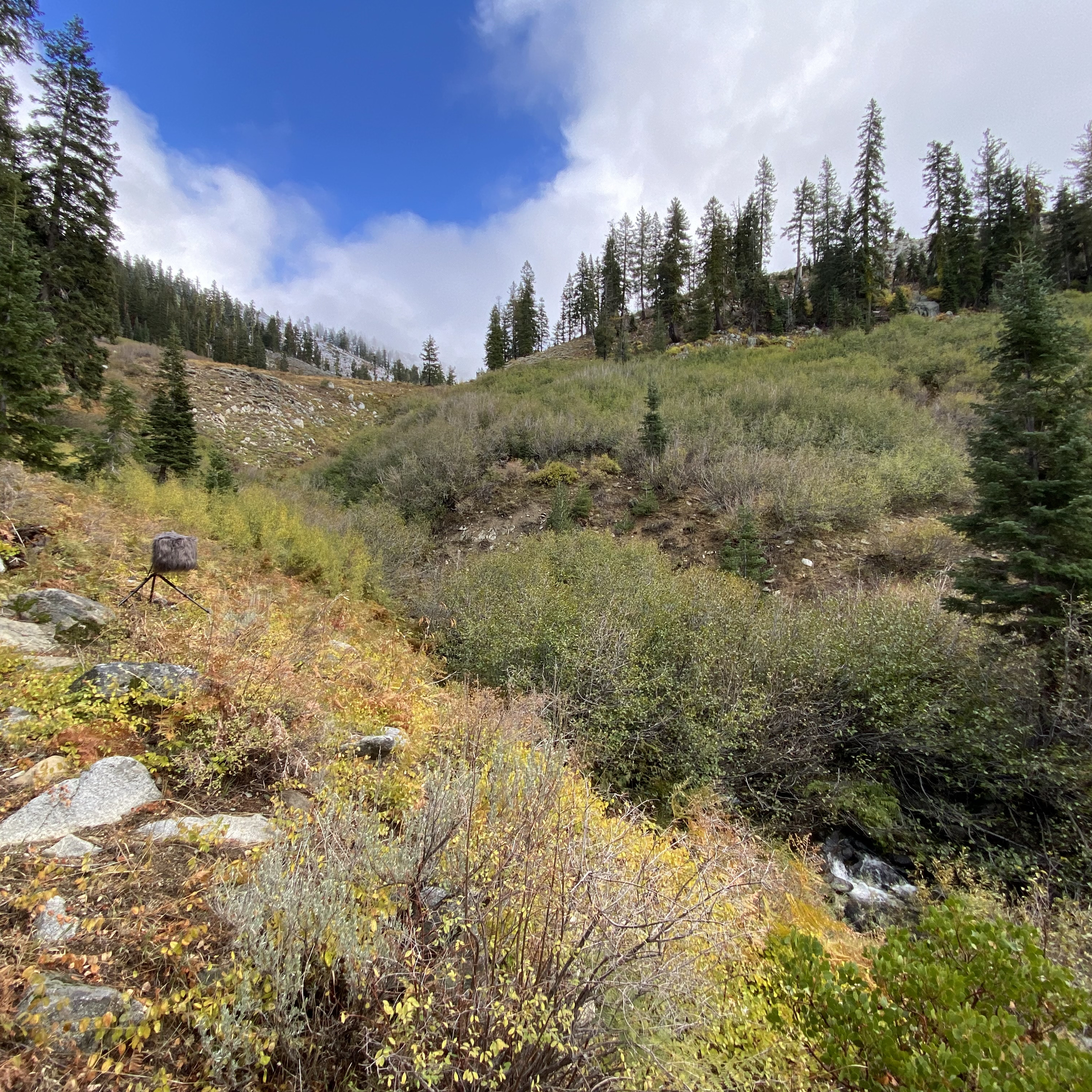 178: Trinity Alps Wilderness- East Boulder Creek