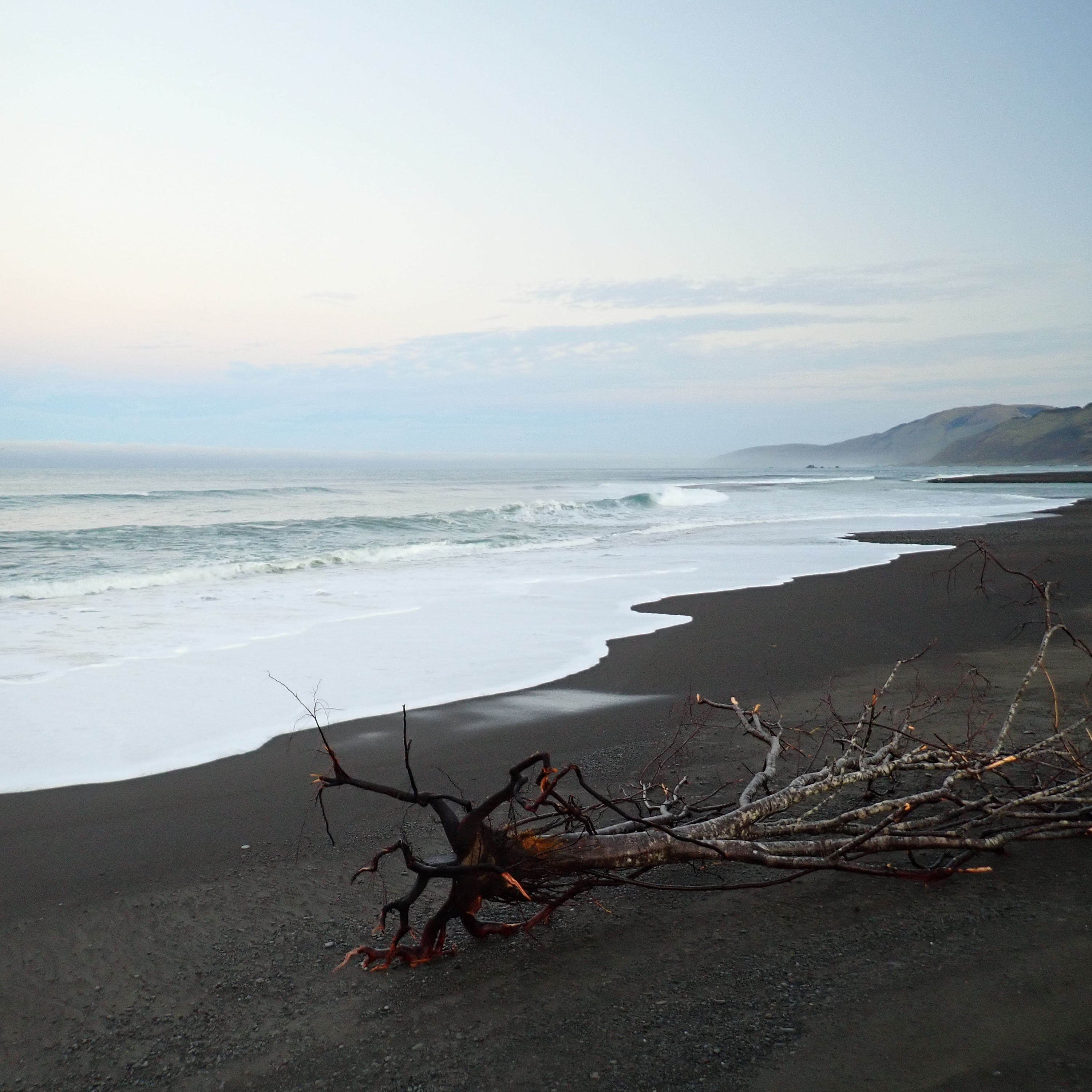 180: Lost Coast- Long Winter Night at Mattole Beach