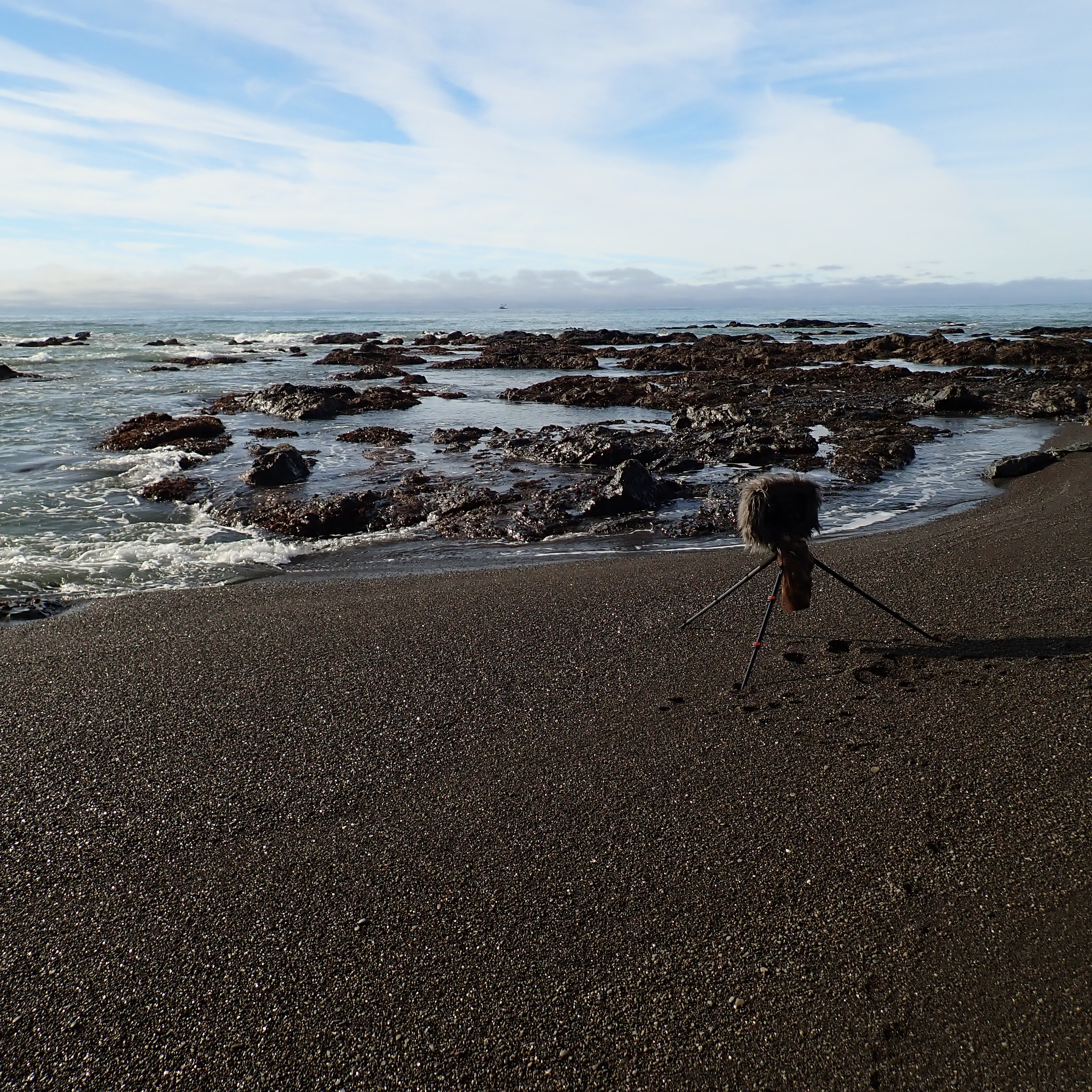 181: Lost Coast- Outgoing Tide On A Winter Afternoon