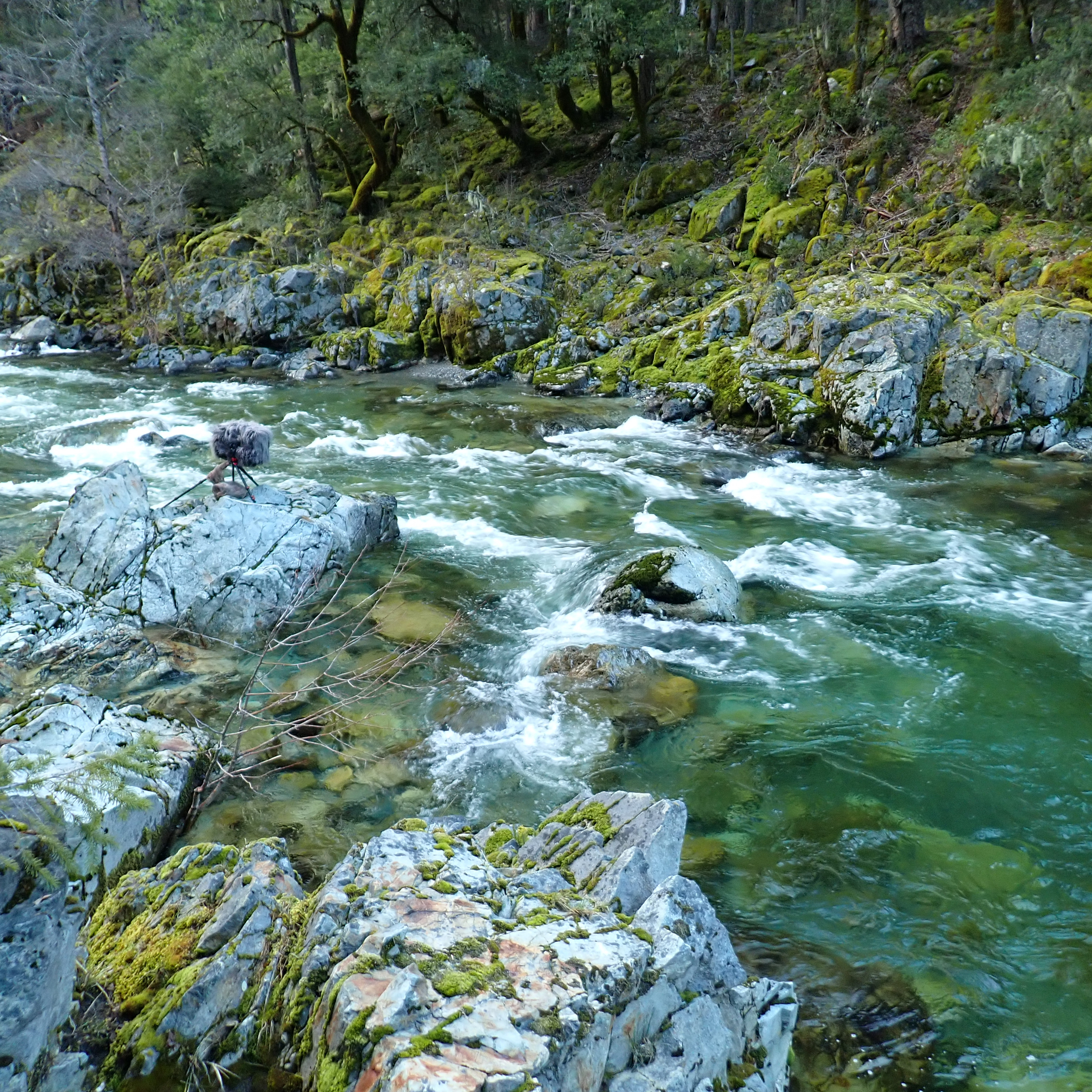 182: Early Spring Night On The North Fork Of The Salmon River