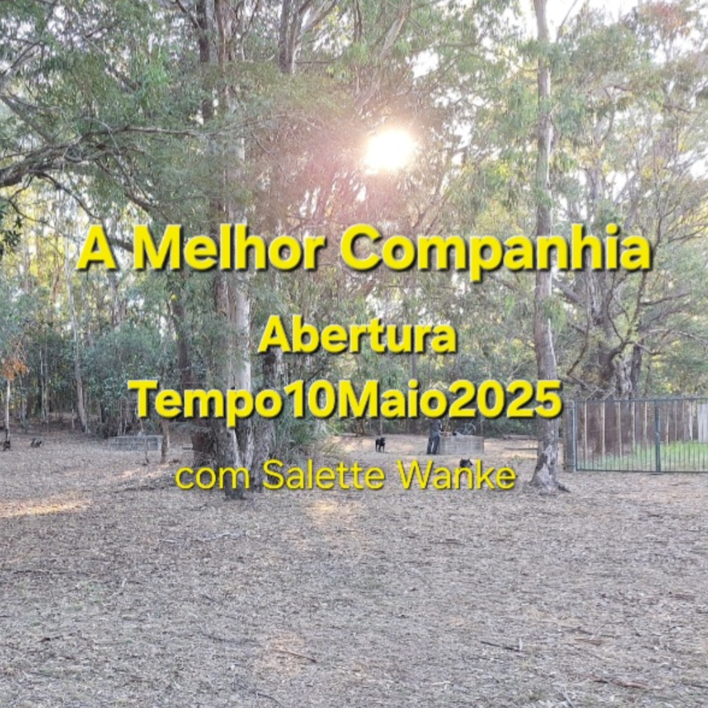 A Melhor Companhia episode artwork