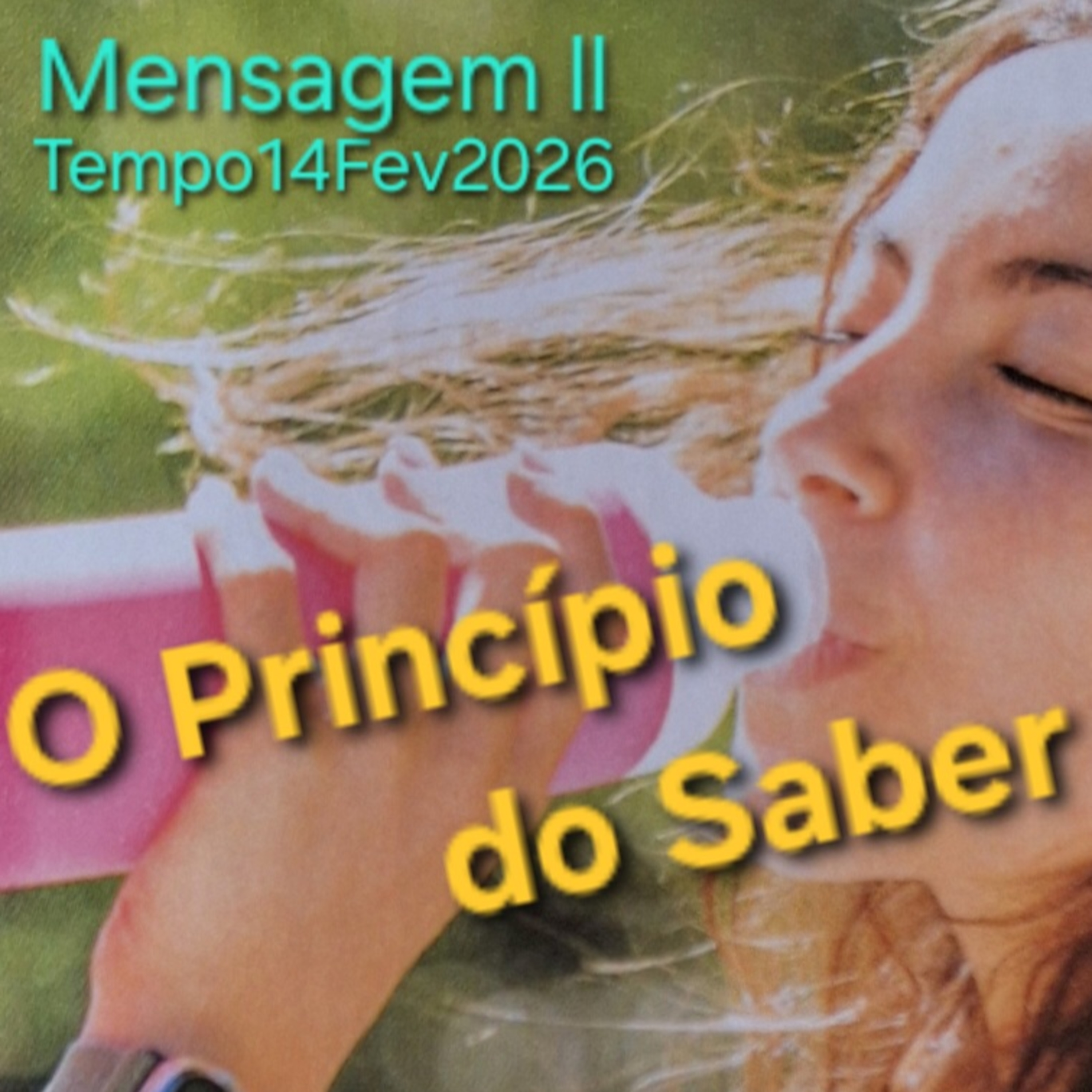 O Princípio do Saber episode artwork