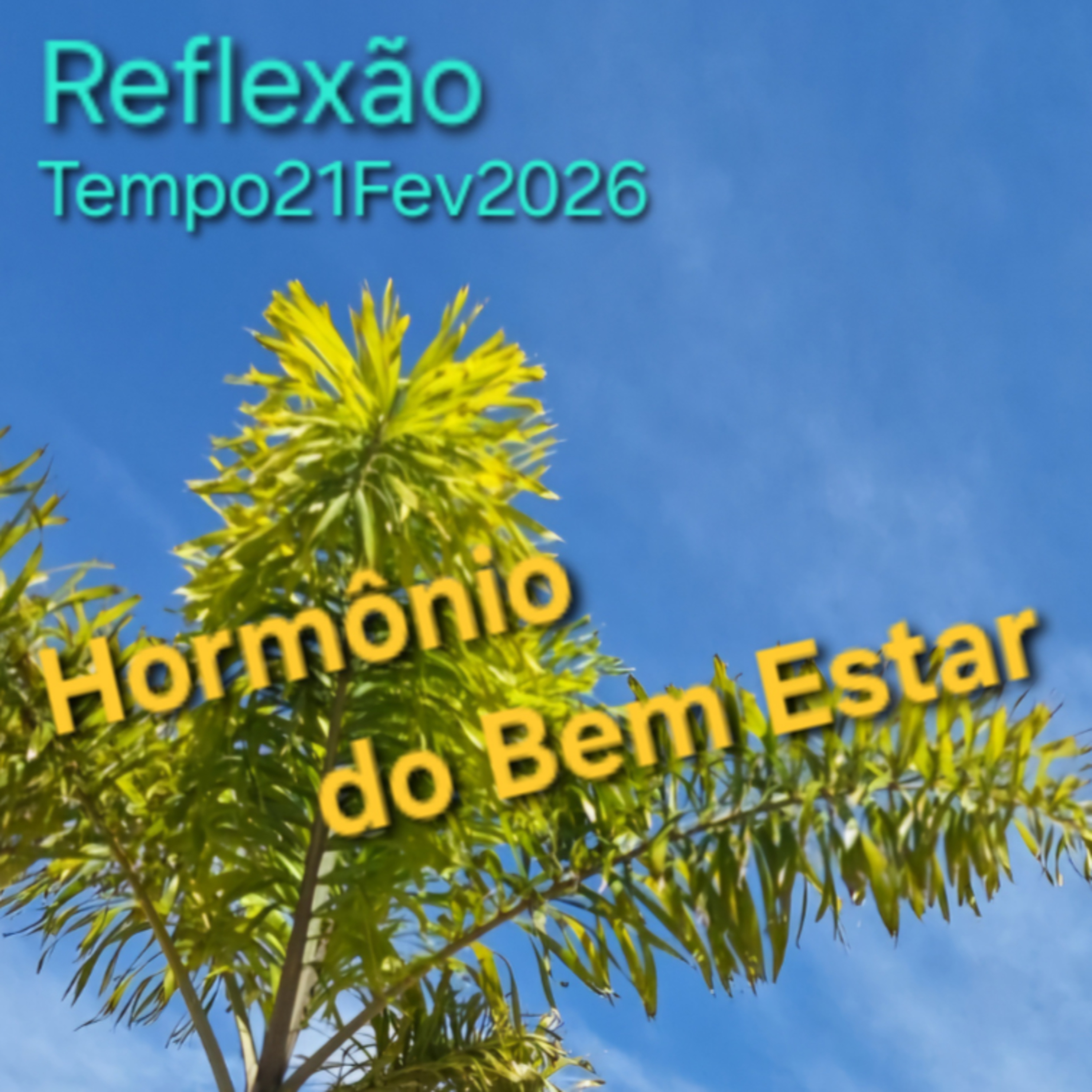 Hormônio do Bem Estar episode artwork