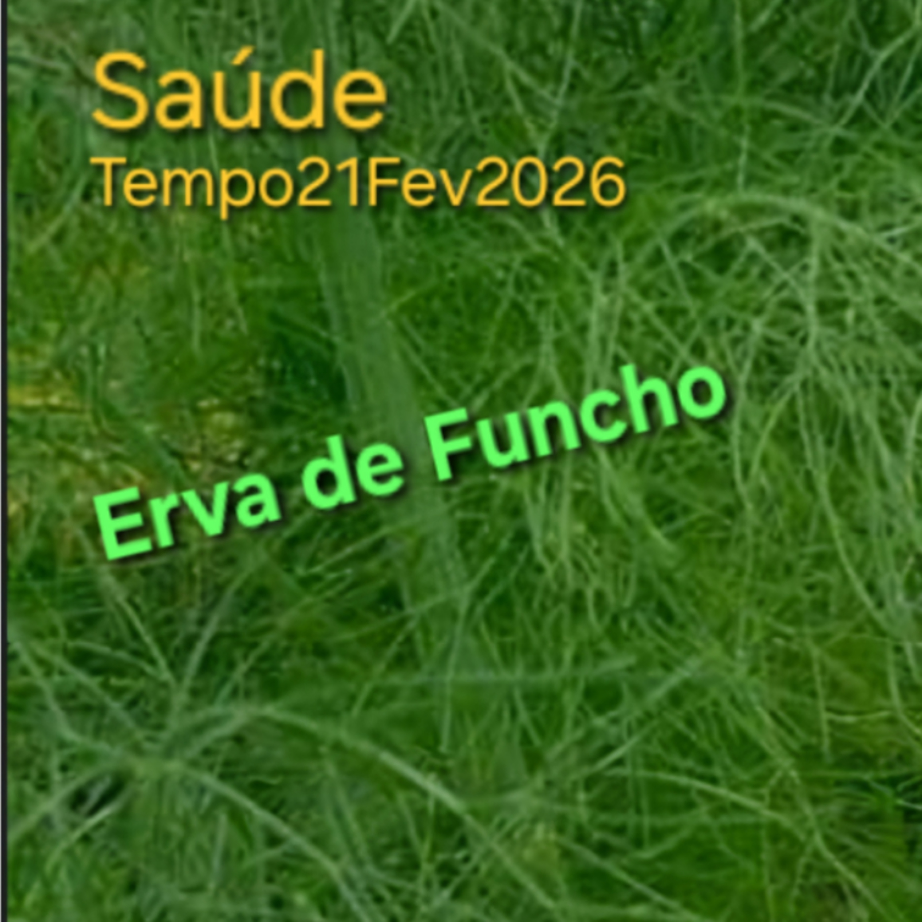 Erva de Funcho episode artwork