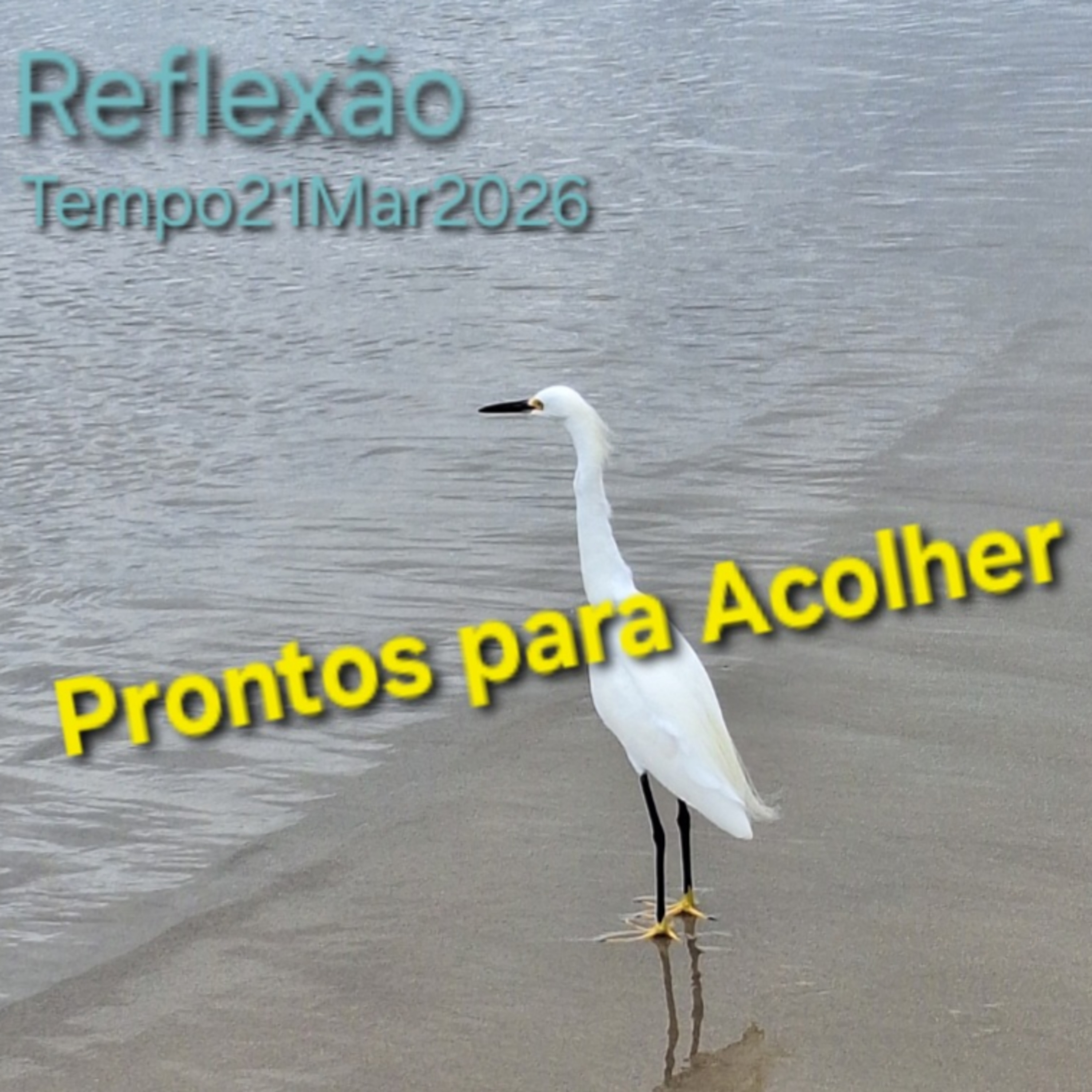 Prontos para Acolher episode artwork