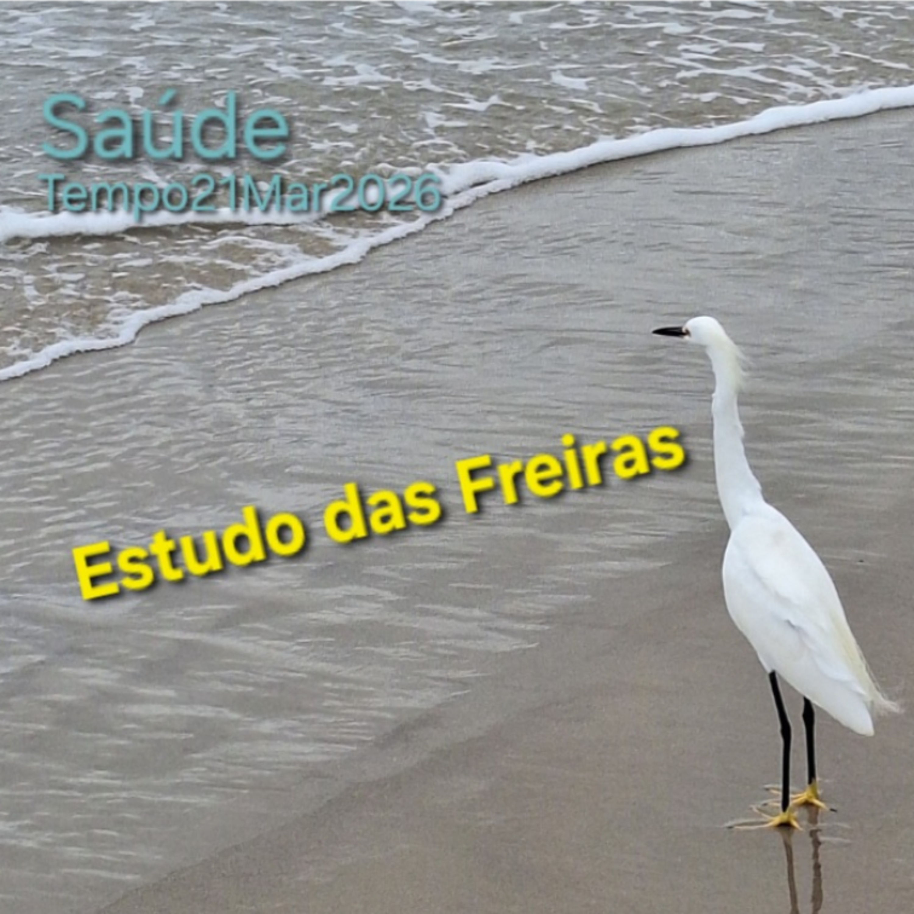 Estudo das Freiras episode artwork