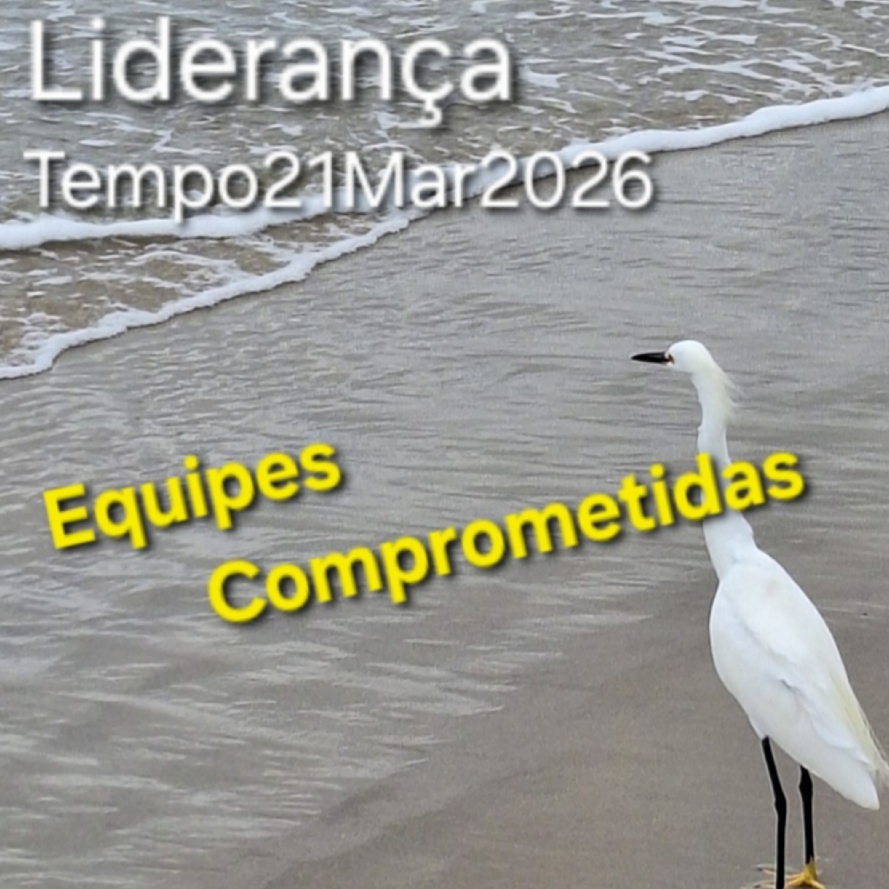 Equipes Comprometidas episode artwork