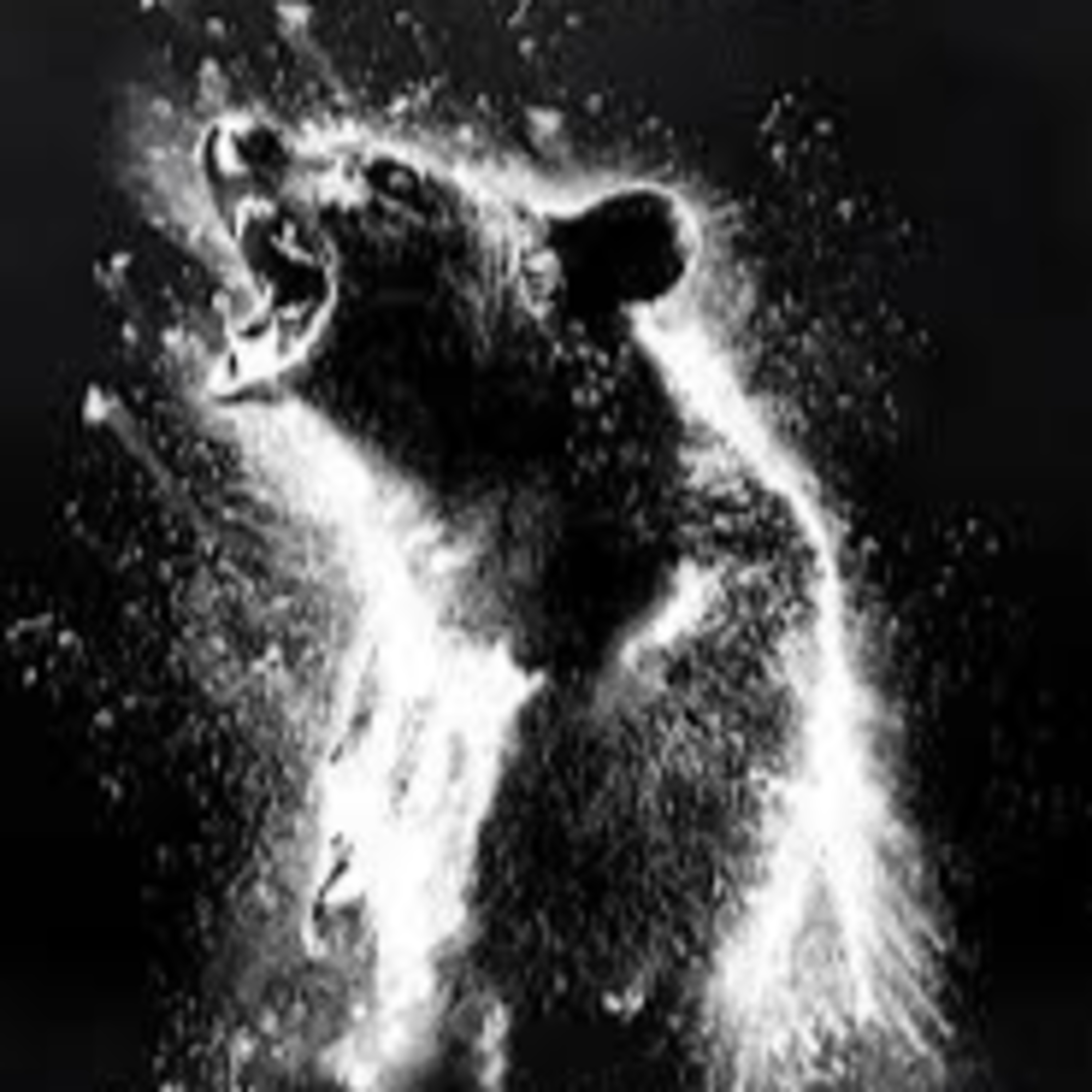 Cocaine Bear episode artwork