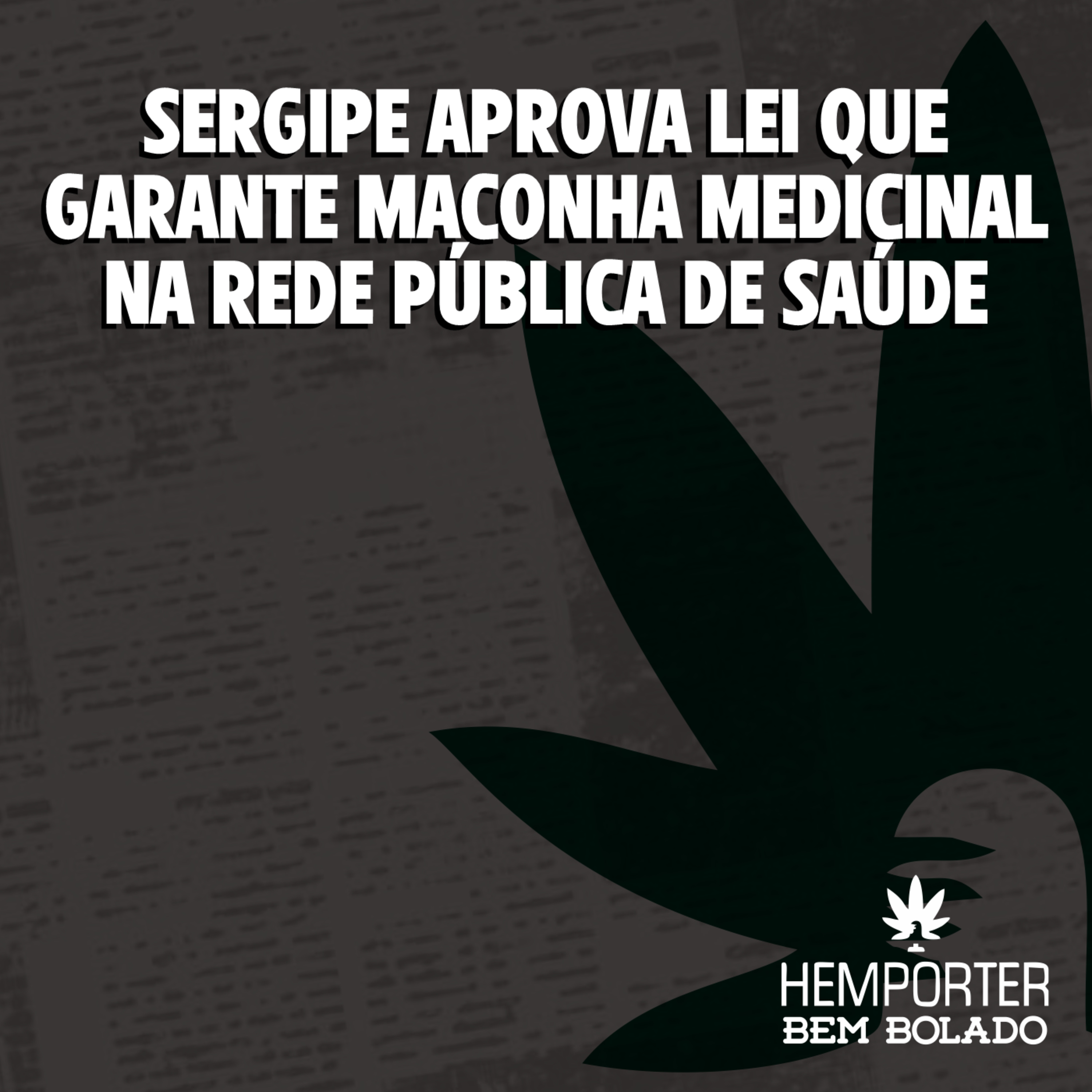 Sergipe aprova lei que garante maconha medicinal na Rede Pública de Saúde episode artwork