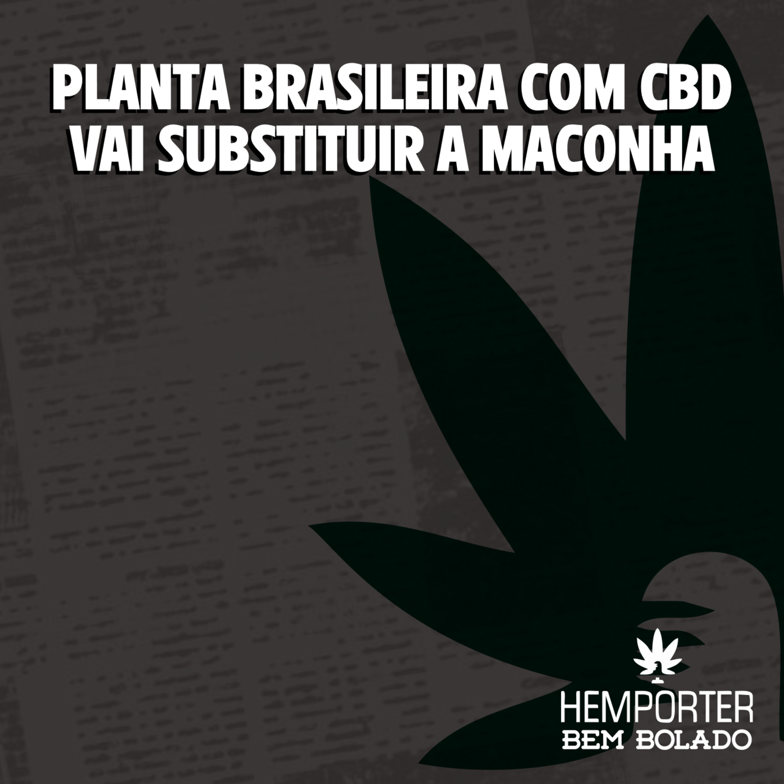 Planta brasileira com CBD vai substituir a maconha episode artwork