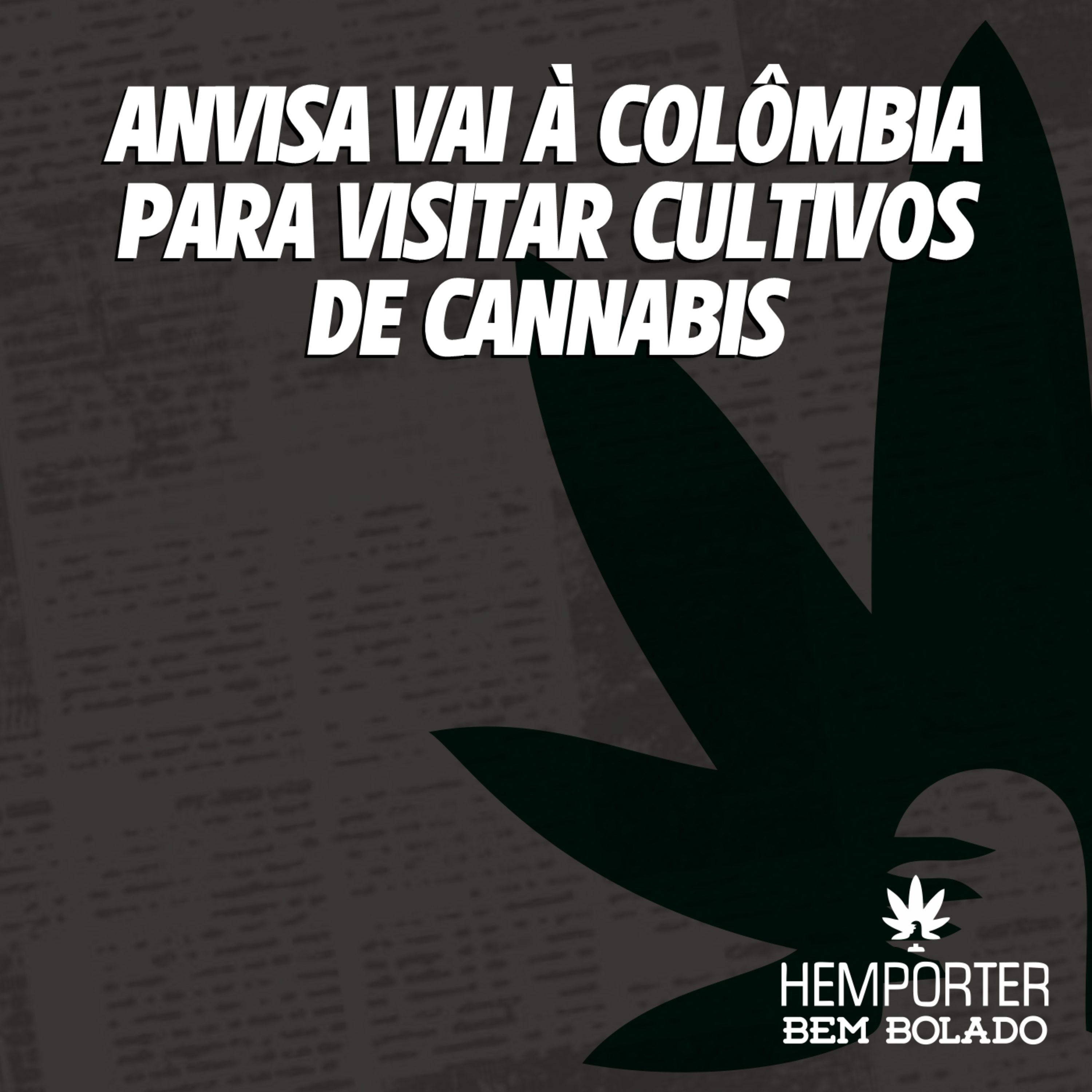 ANVISA vai à Colômbia visitar cultivos de cannabis episode artwork
