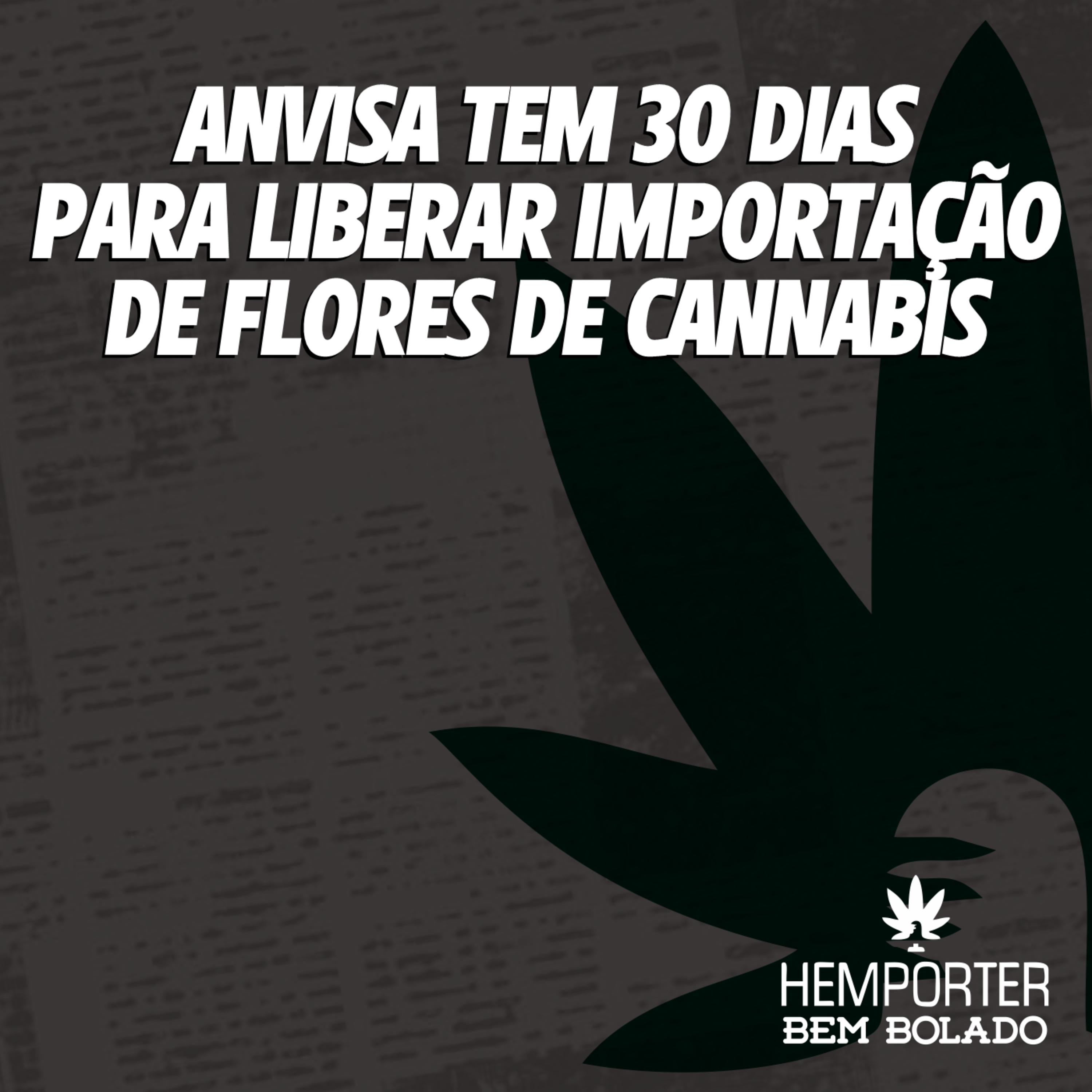 ANVISA tem 30 dias para liberar importação de flores de cannabis