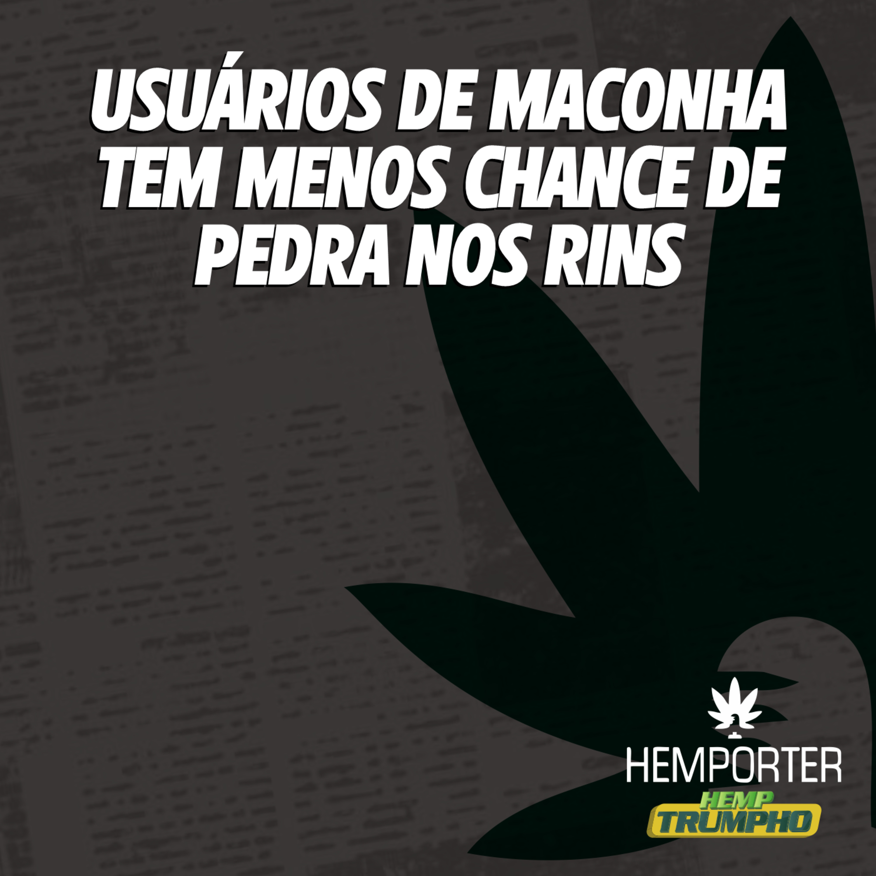 Usuários de maconha tem menos chance de pedra nos rins episode artwork