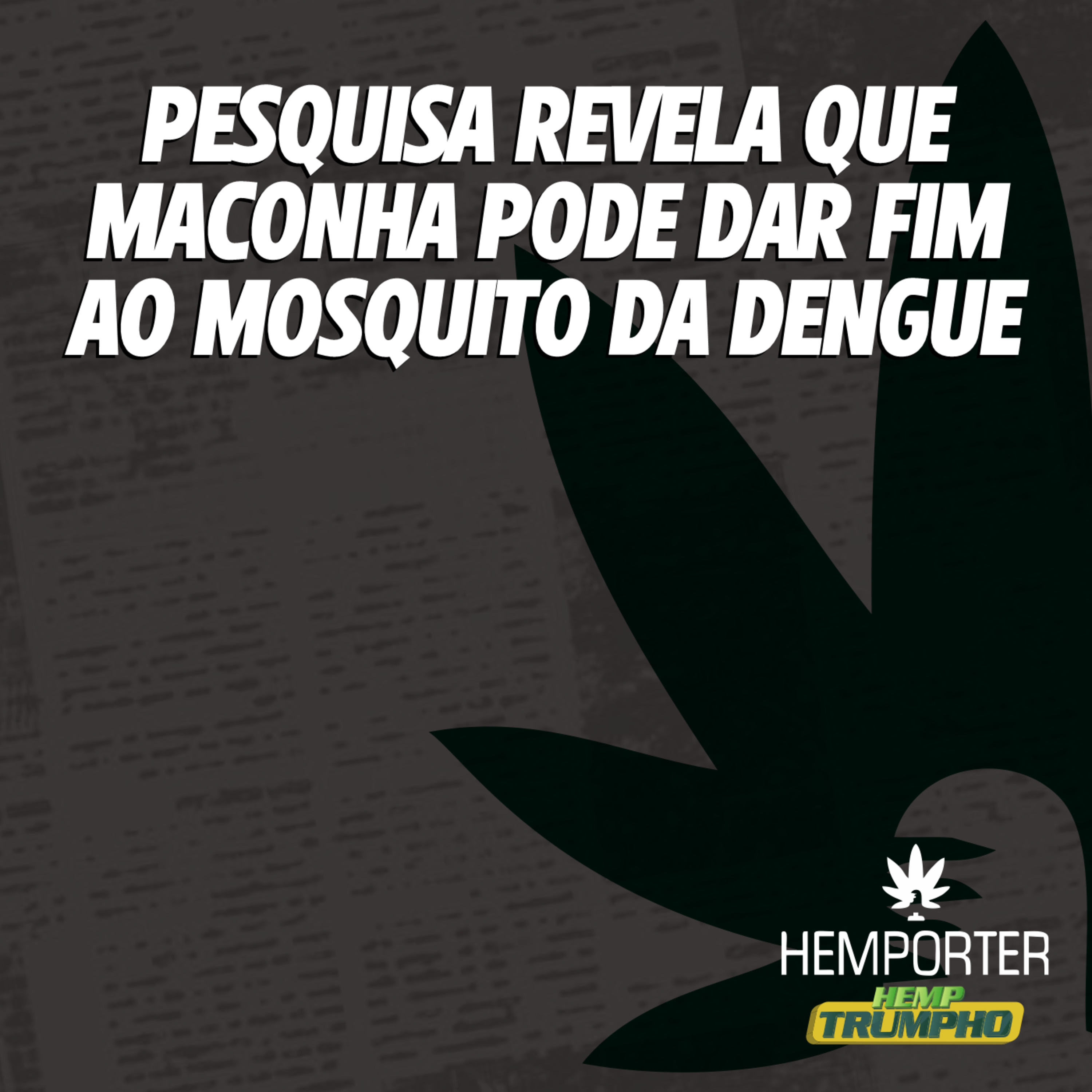 Pesquisa revela que maconha pode dar fim ao mosquito da dengue episode artwork