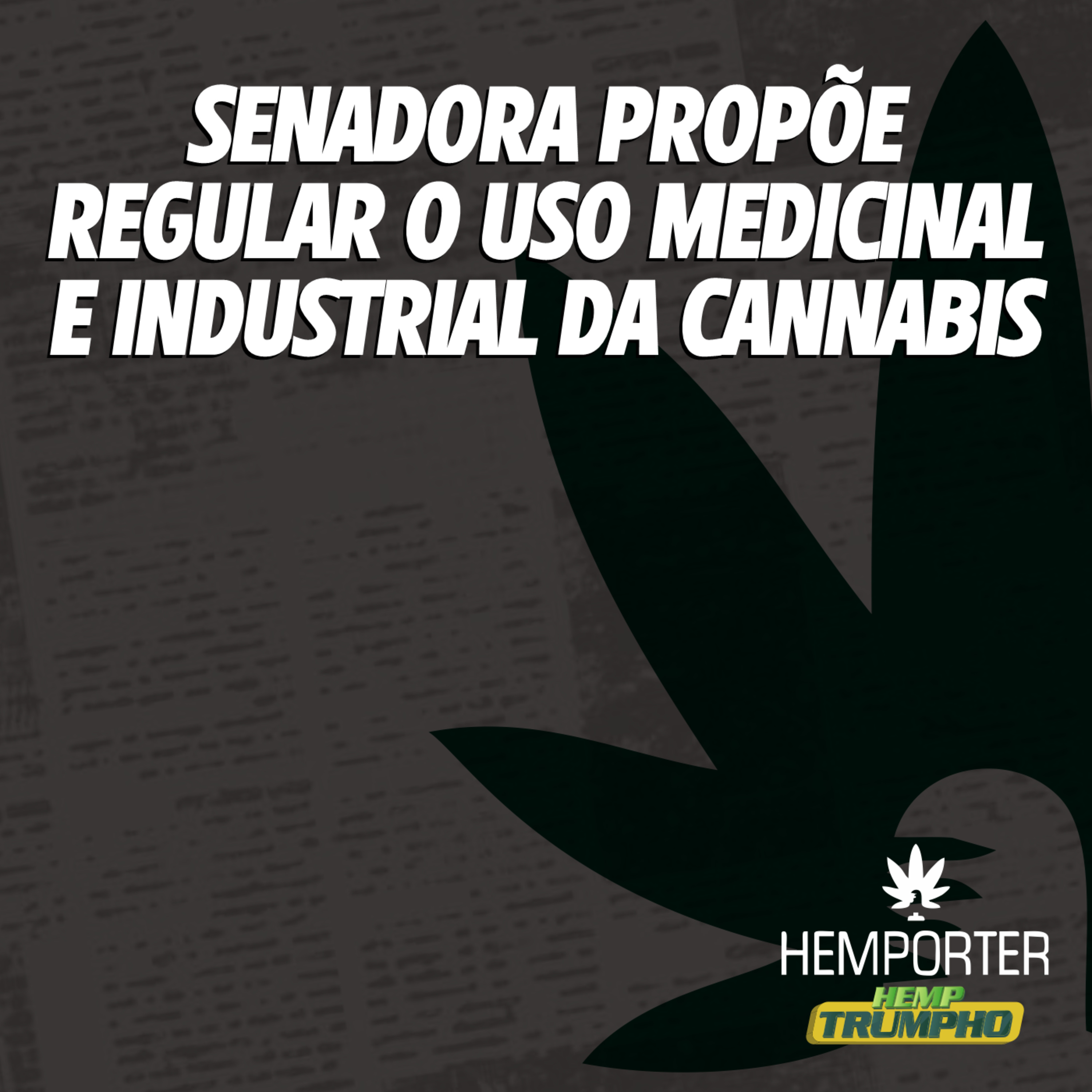 Senadora propõe regulamentação do uso medicinal e industrial da cannabis episode artwork