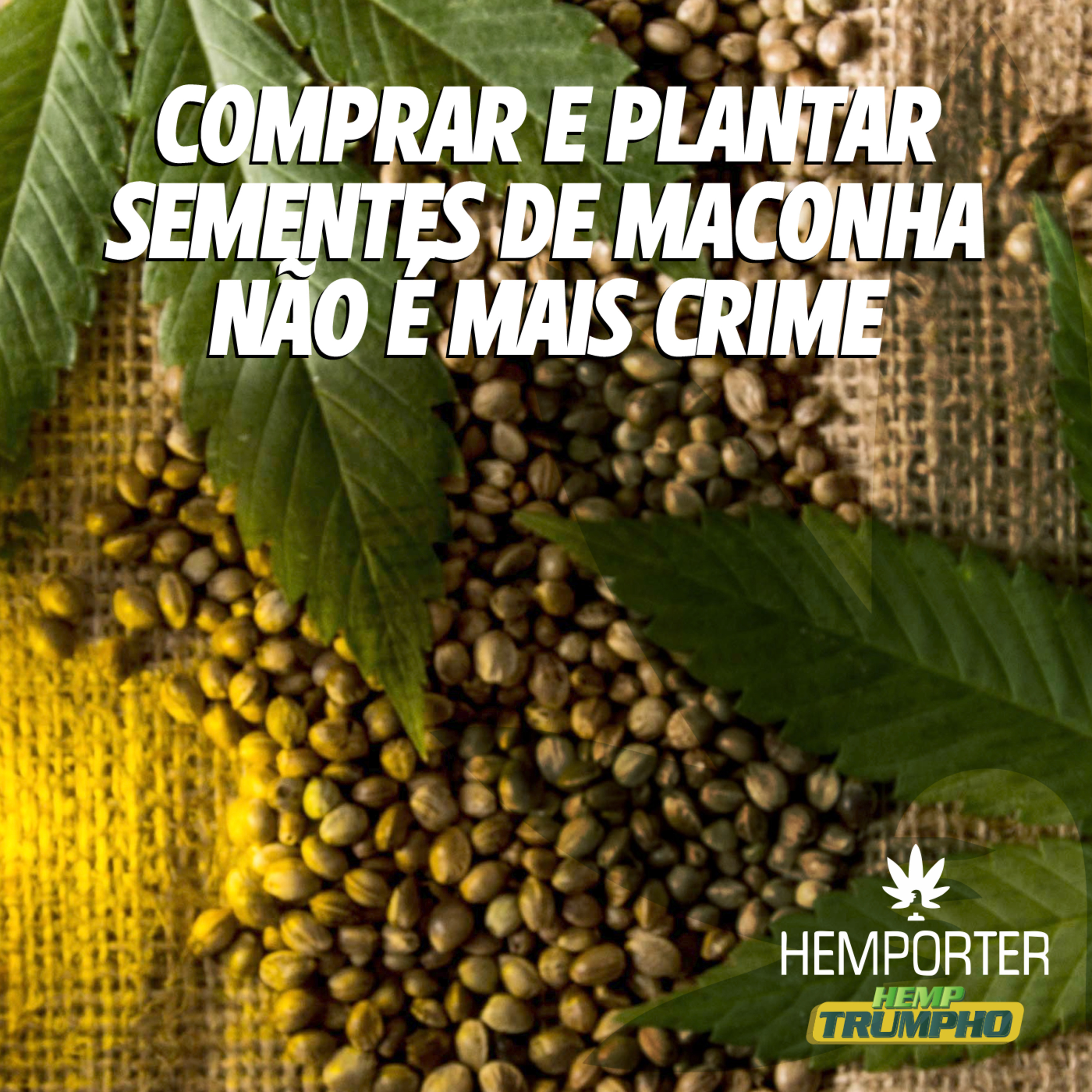 Comprar e plantar sementes de maconha não é mais crime episode artwork