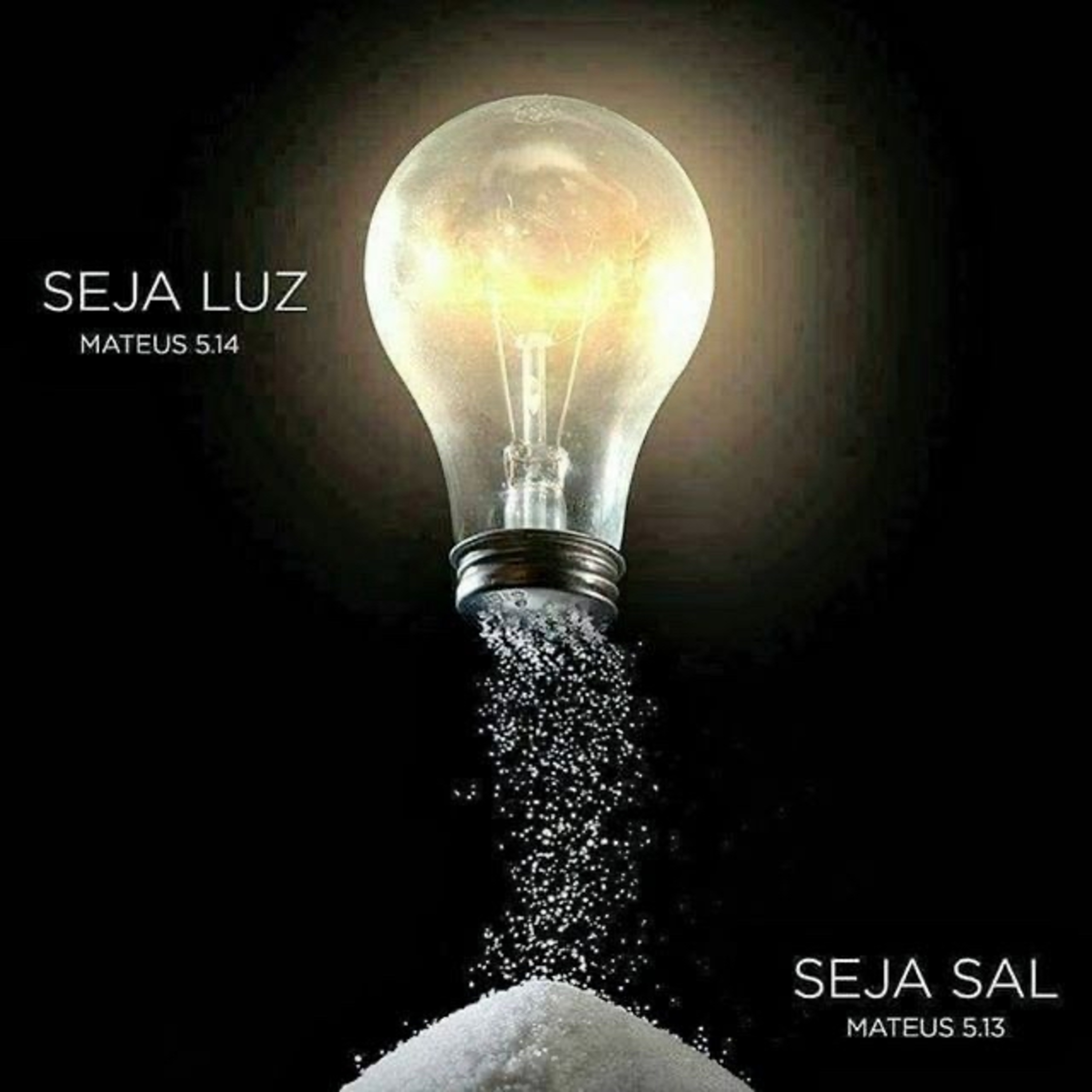 Sal e luz episode artwork