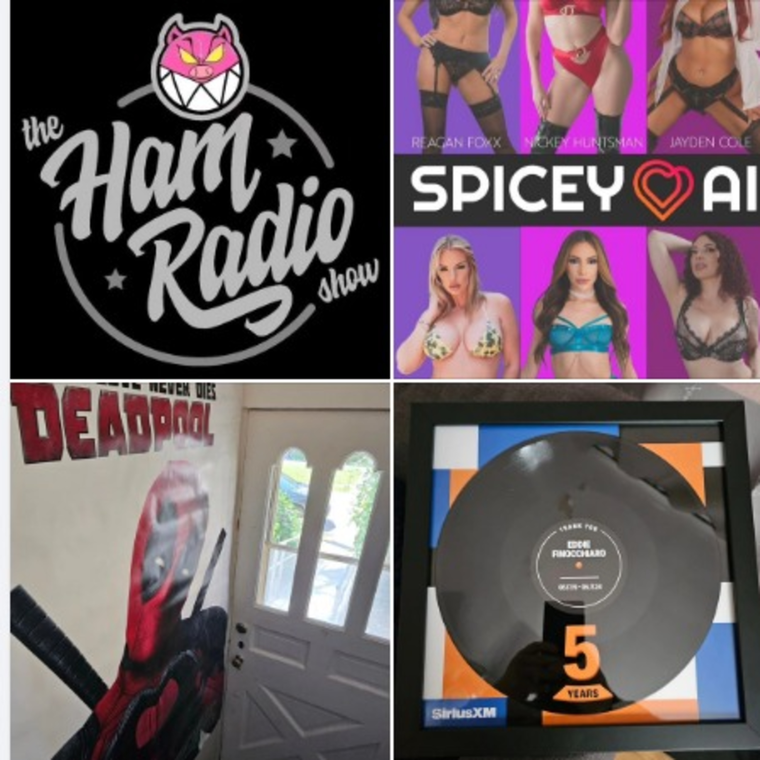 The Ham Radio Show presents: Cold Cuts