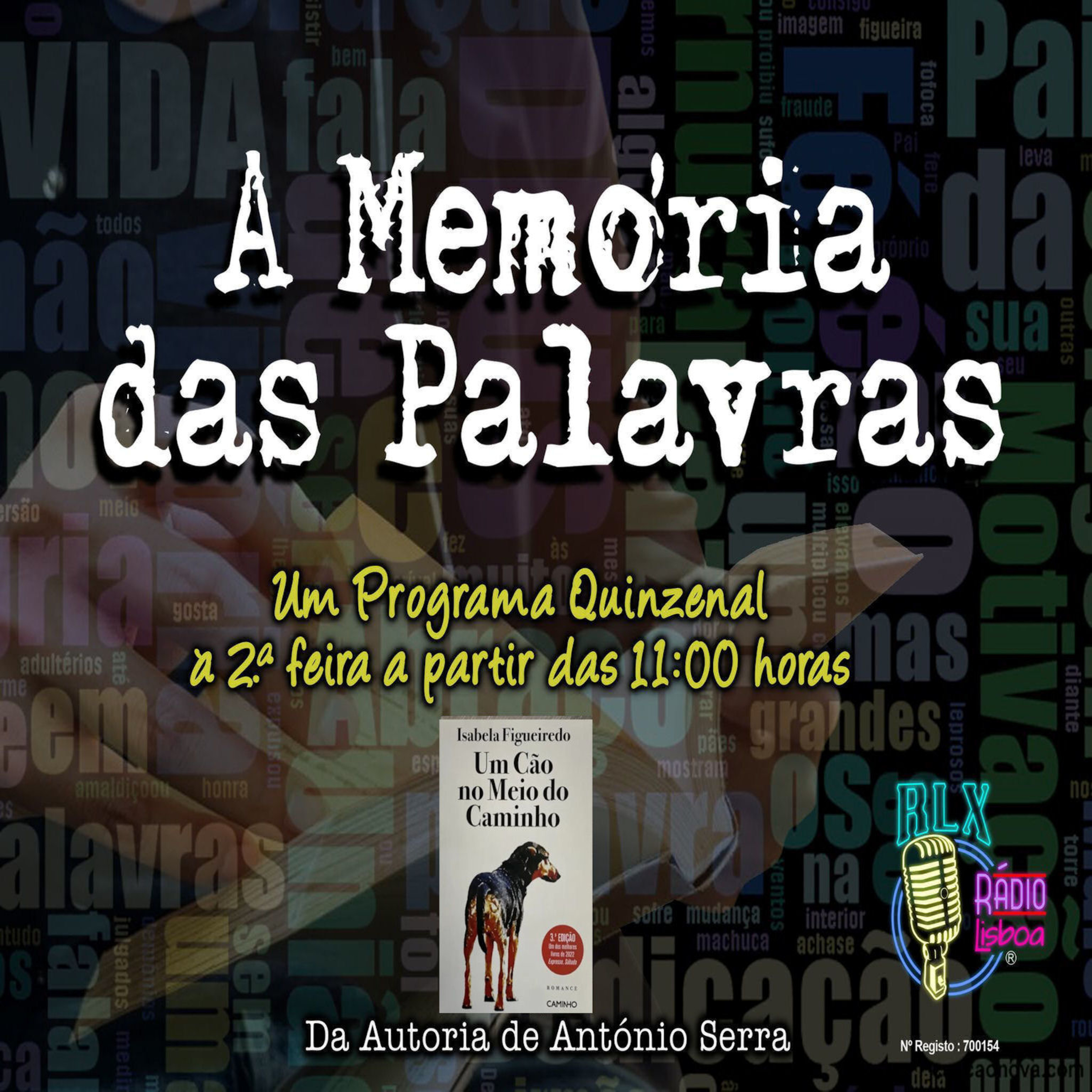 A Memória das Palavras - Isabela Figueiredo - Programa 69 episode artwork