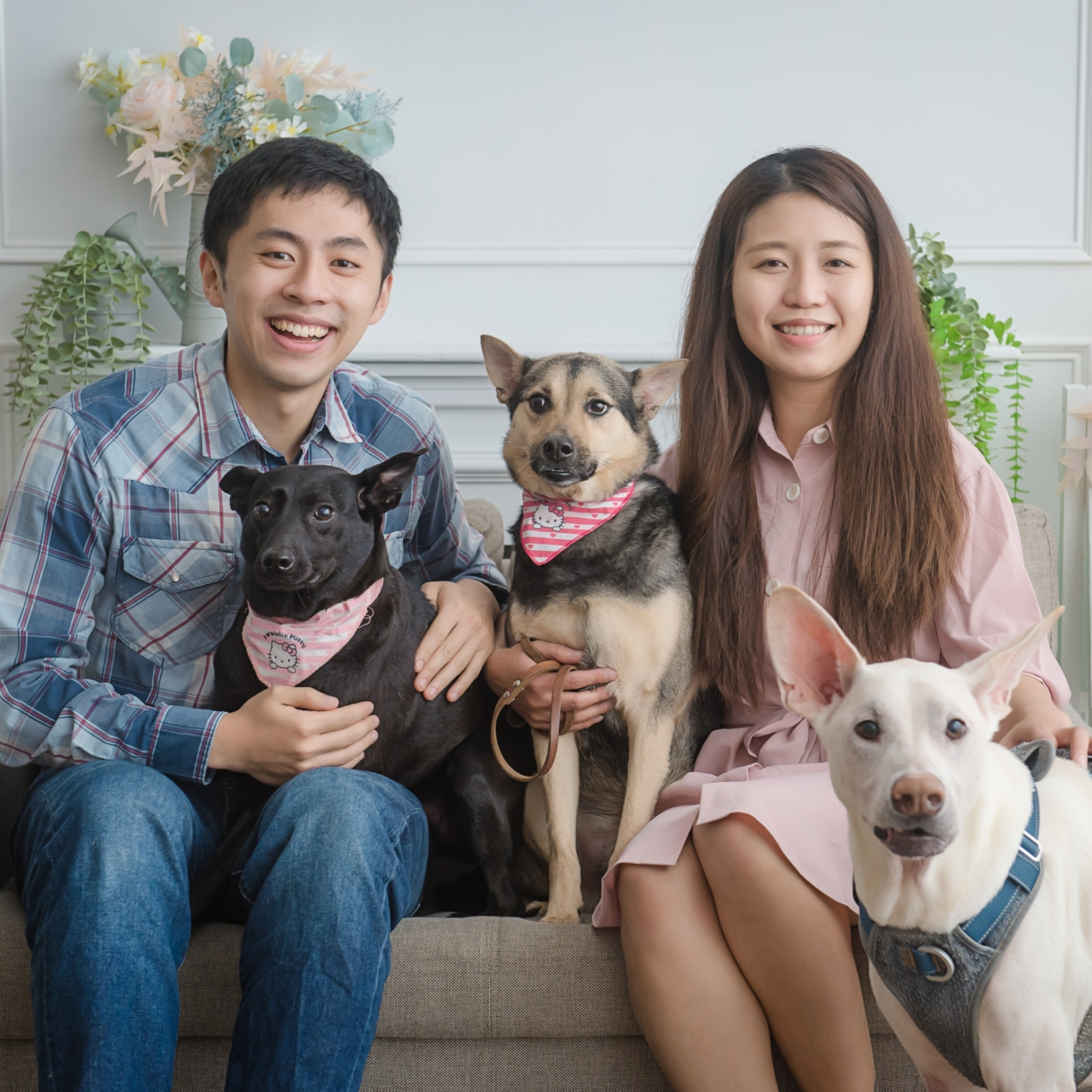 Ep88《浪浪別哭x艾蓮》這媽瘋了不成!?生頭胎前夕養幼犬!且家裡還有兩隻狗!?